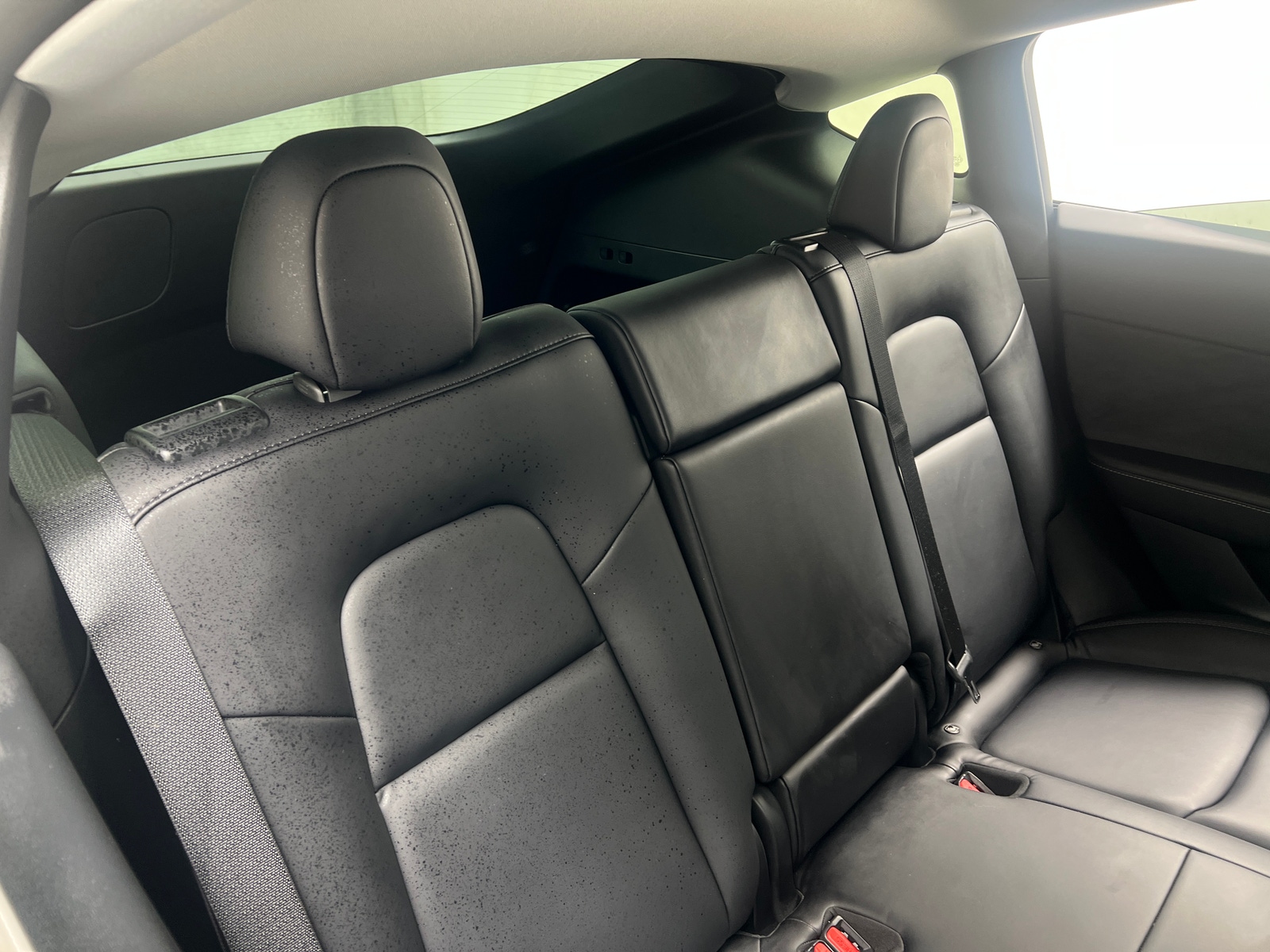 Thumbnail: 2021 Tesla Model Y - 5