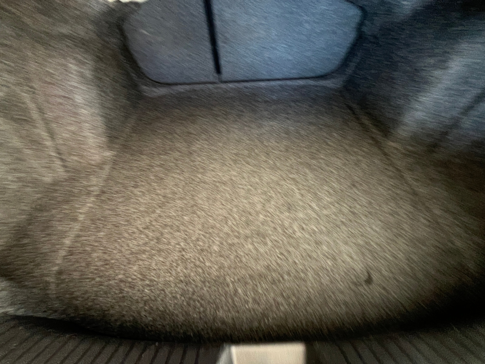 Thumbnail: 2025 Volkswagen Jetta - 6