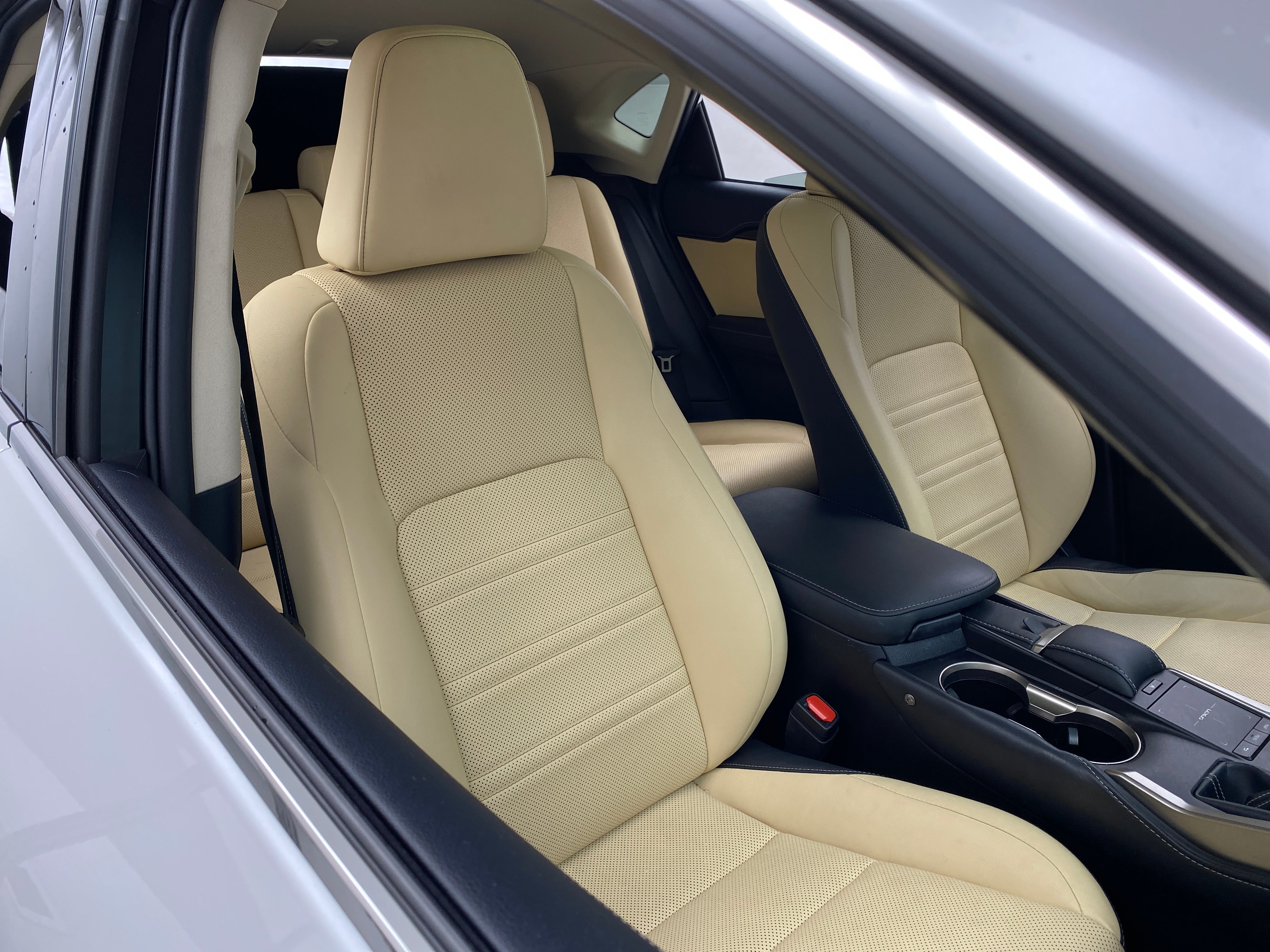 2019 Lexus NX Hybrid