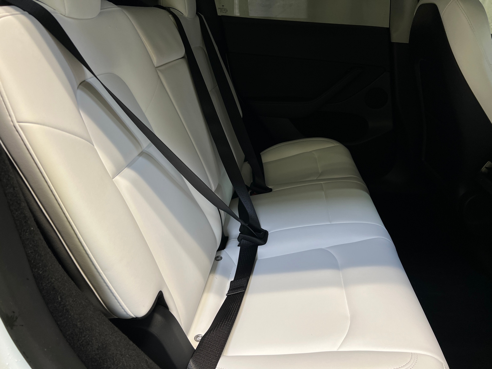 Thumbnail: 2023 Tesla Model Y - 5