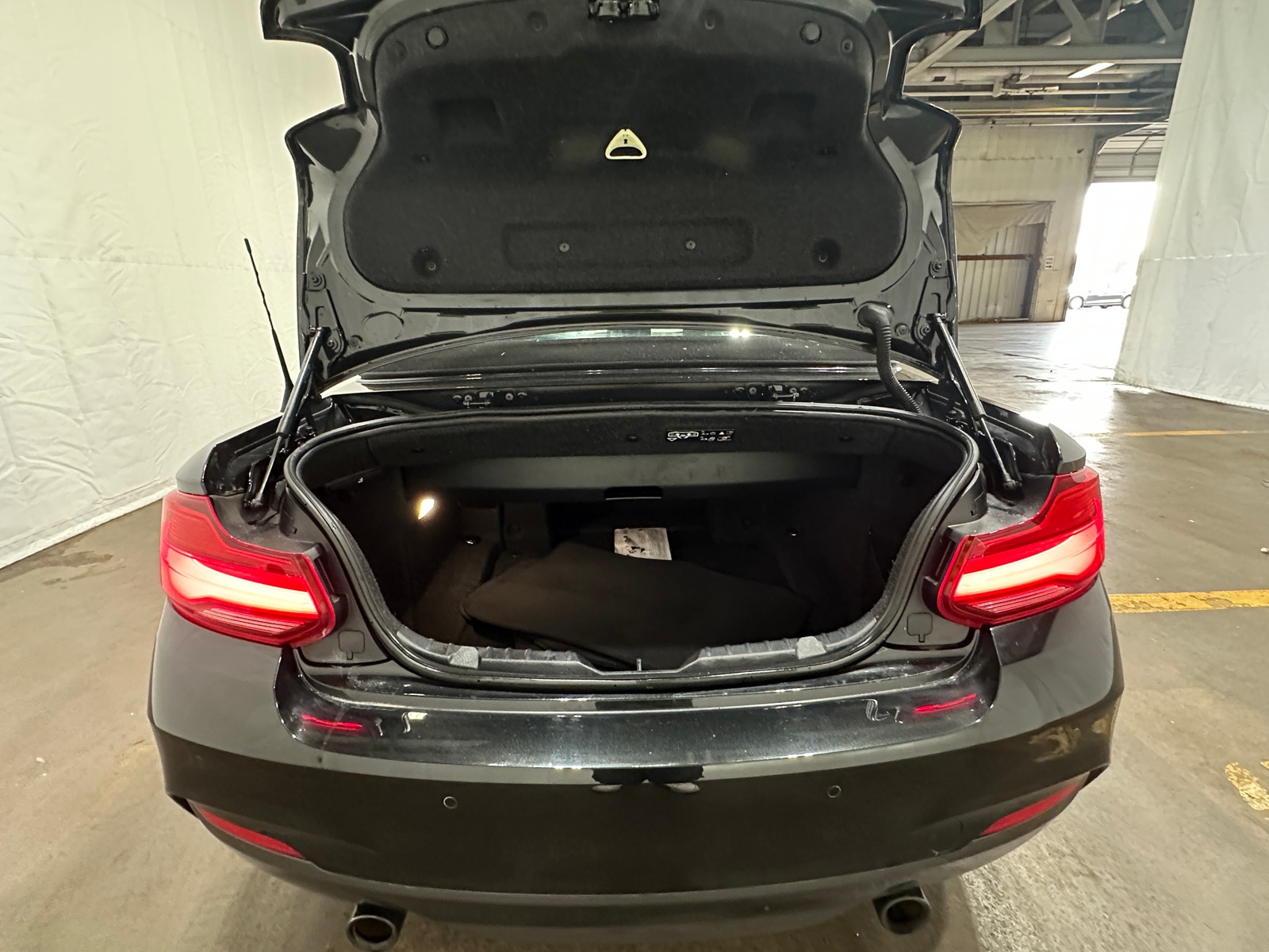 Thumbnail: 2019 BMW 2 Series - 6