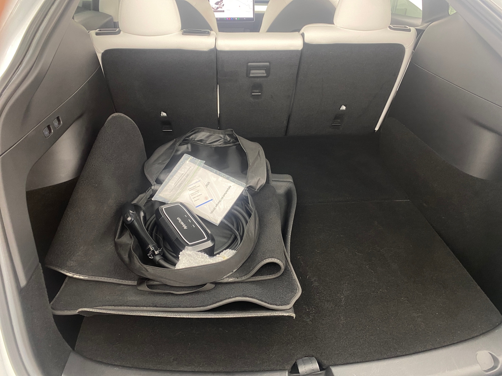 Thumbnail: 2021 Tesla Model Y - 6