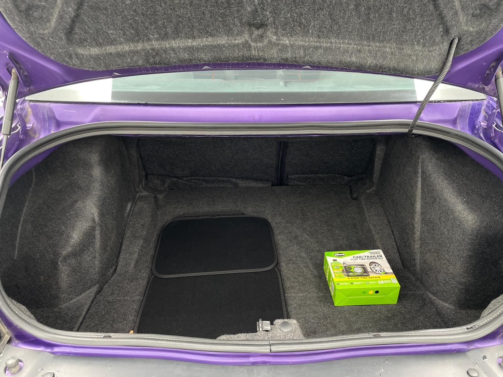 Thumbnail: 2019 Dodge Challenger - 4