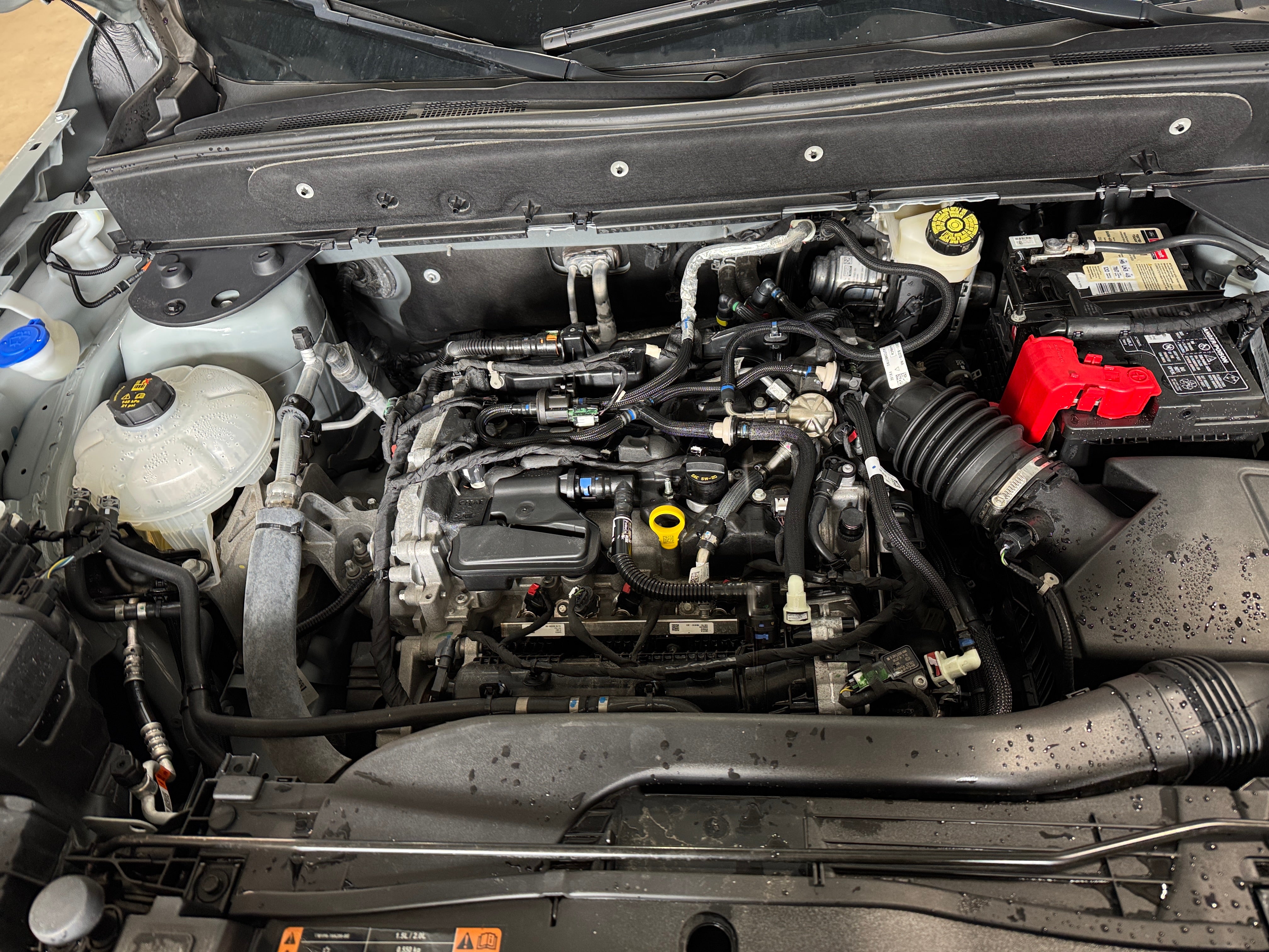 2022 Ford Bronco Sport