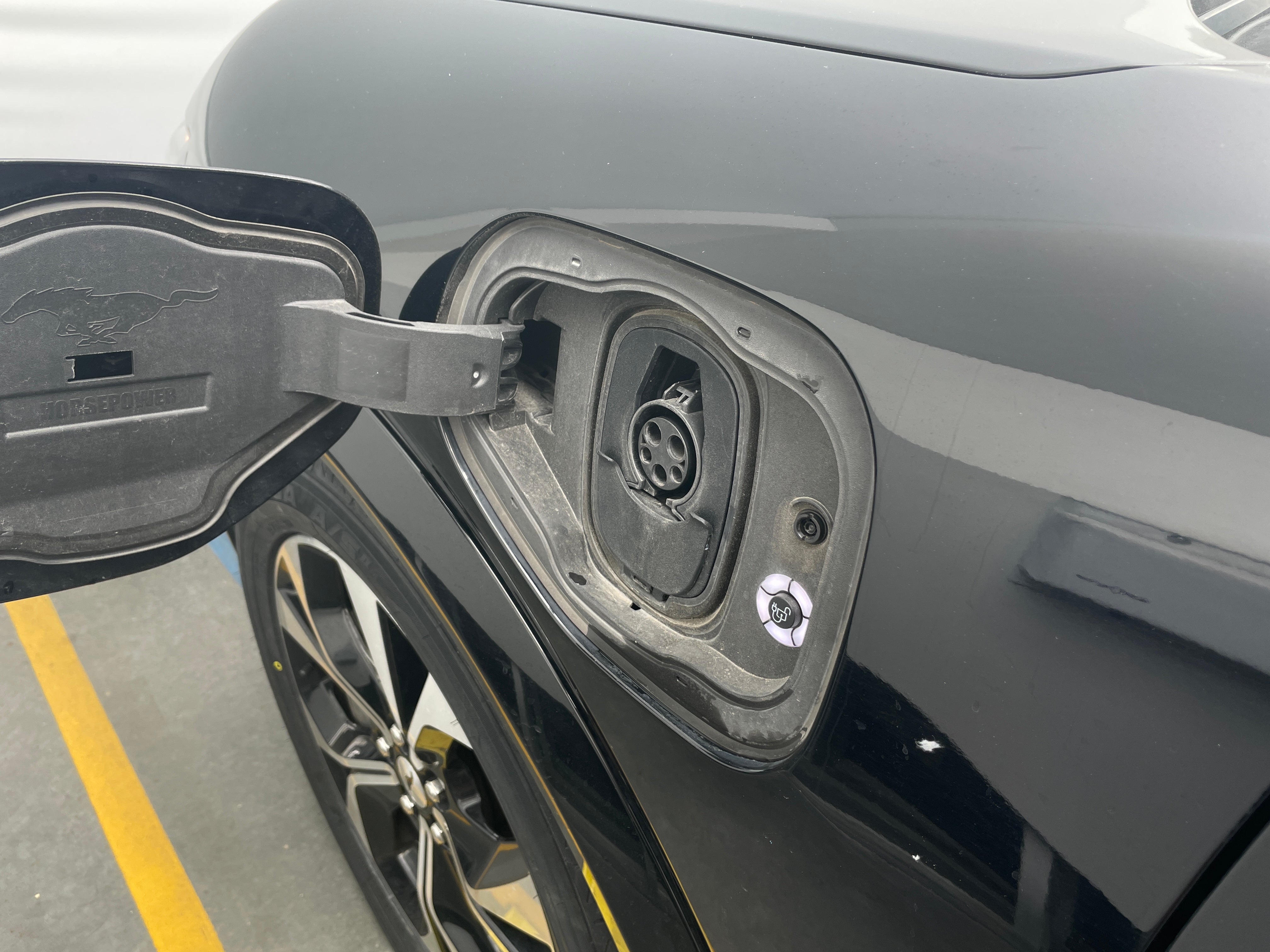 Used 2022 Ford Mustang Mach-E Premium AWD with VIN 3FMTK3SU8NMA15662 for sale in Auburn, WA