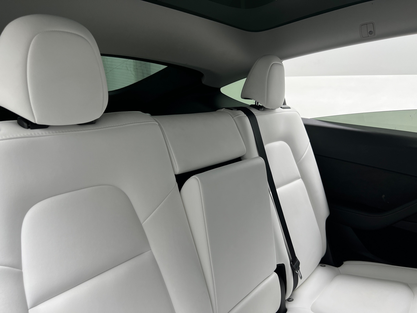 Thumbnail: 2023 Tesla Model Y - 5