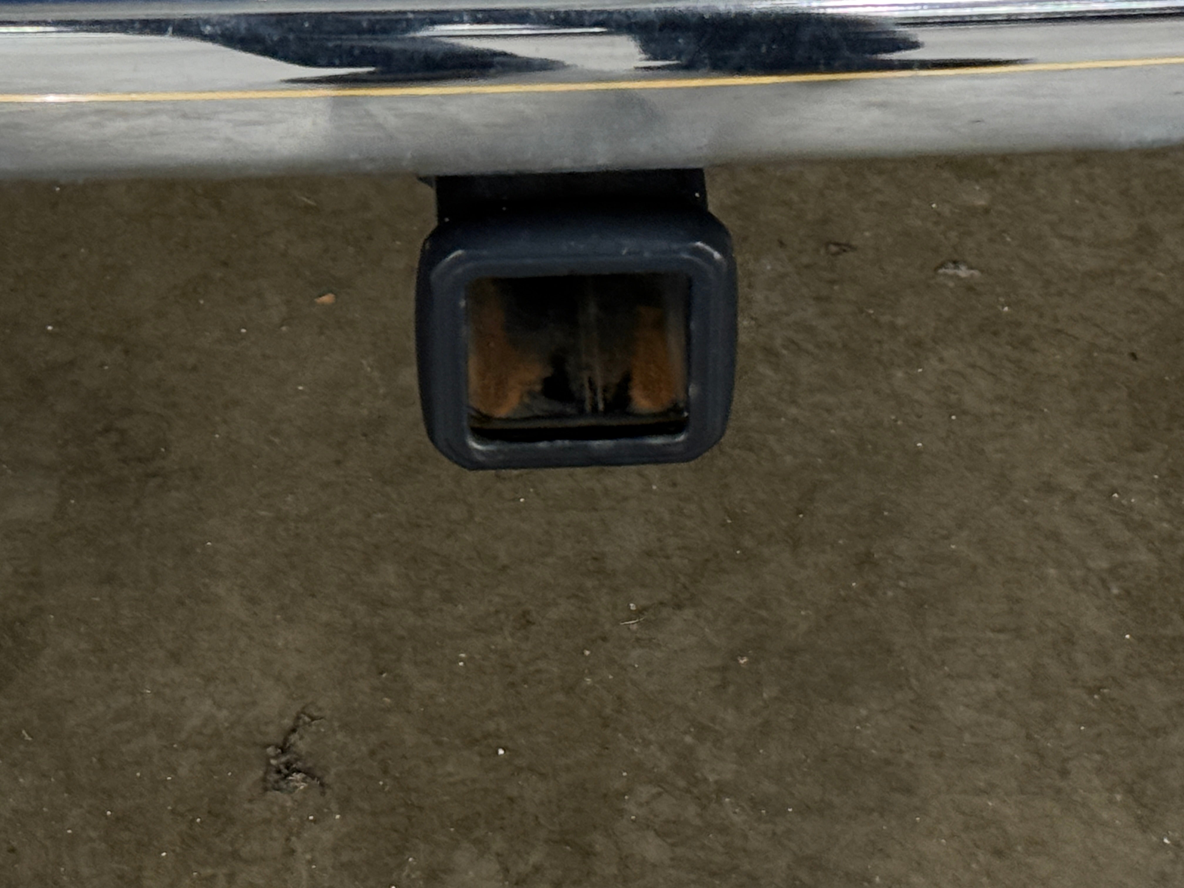 2019 RAM Ram 1500 Pickup