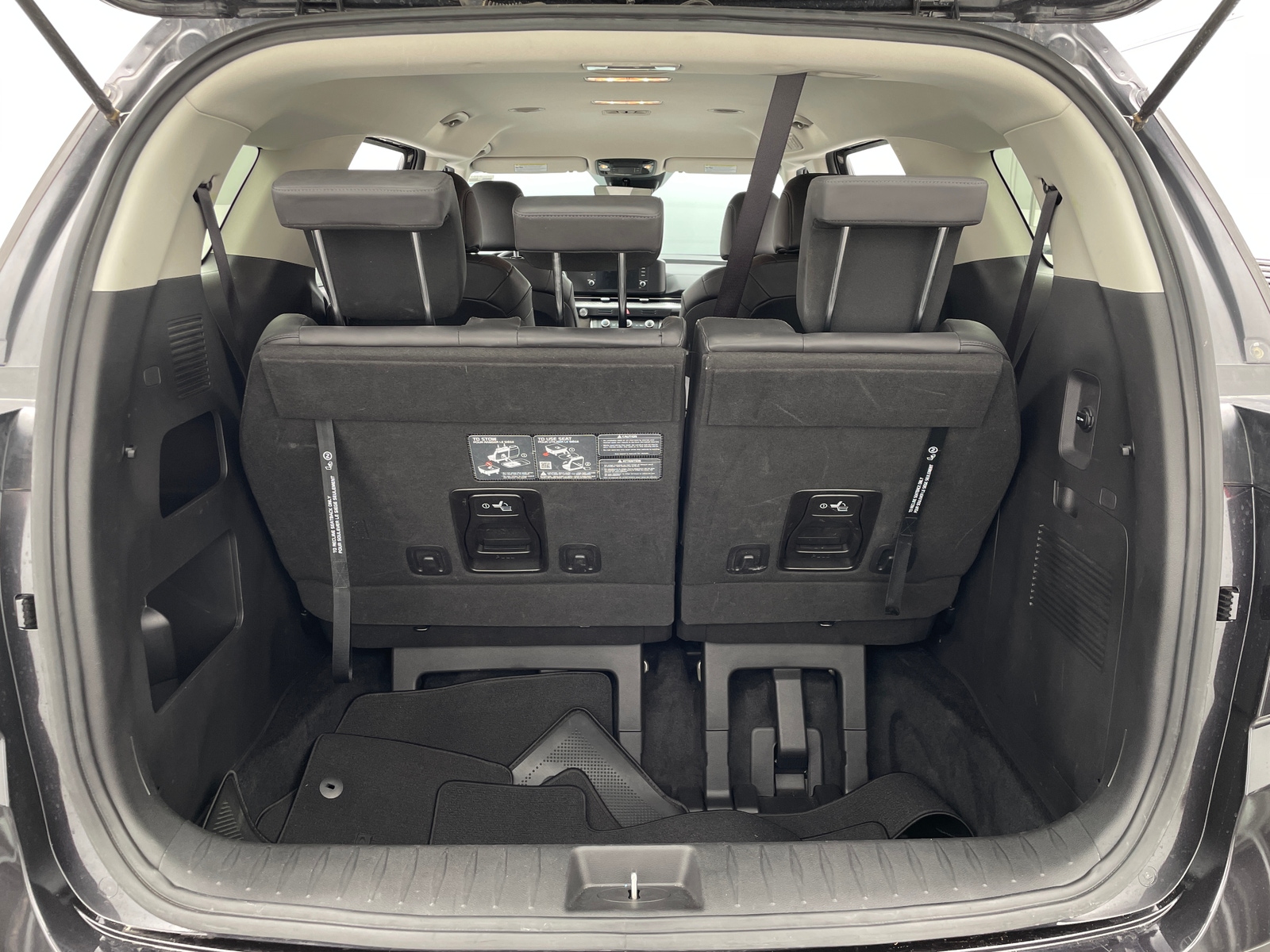 Thumbnail: 2024 Kia Carnival - 6