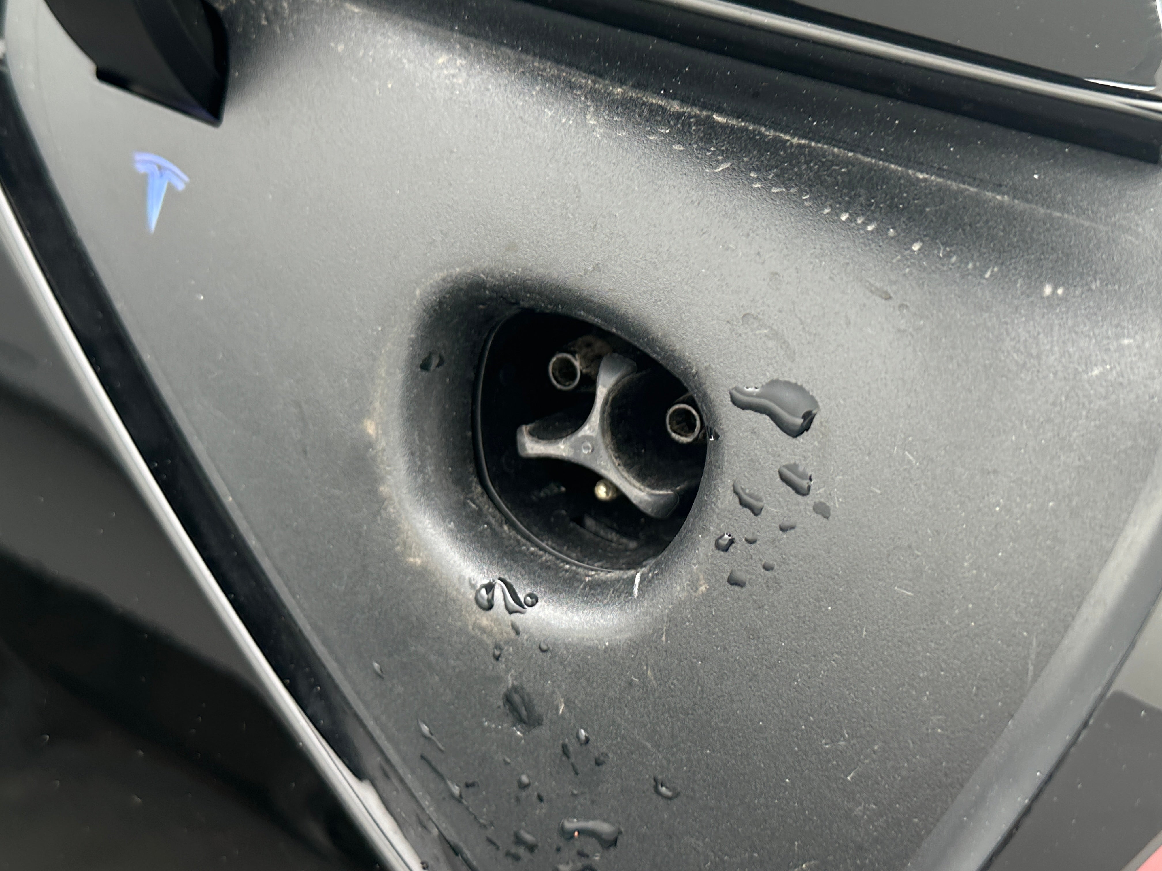 Used 2021 Tesla Model 3 Base with VIN 5YJ3E1EA1MF059765 for sale in Auburn, WA