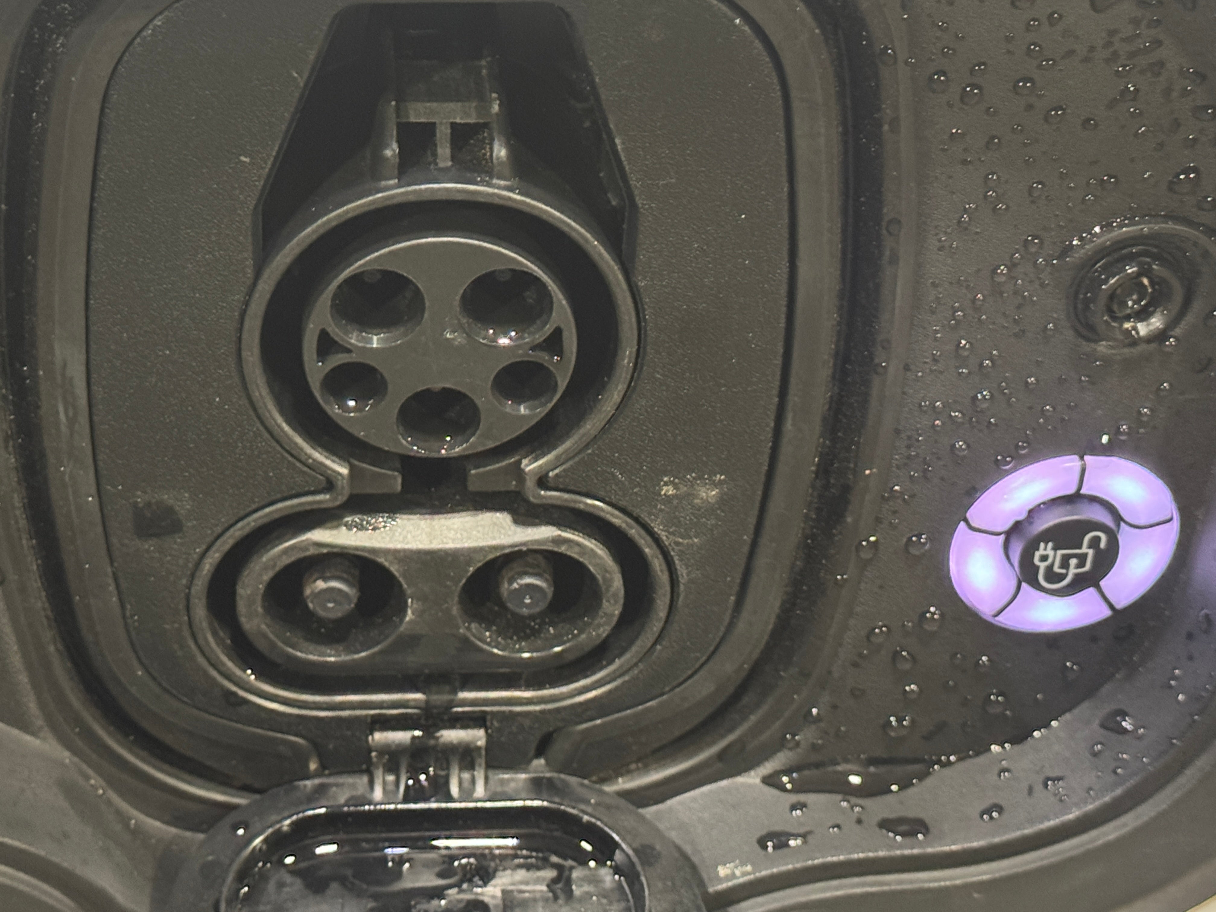 Used 2021 Ford Mustang Mach-E Premium AWD with VIN 3FMTK3SU5MMA10059 for sale in Auburn, WA