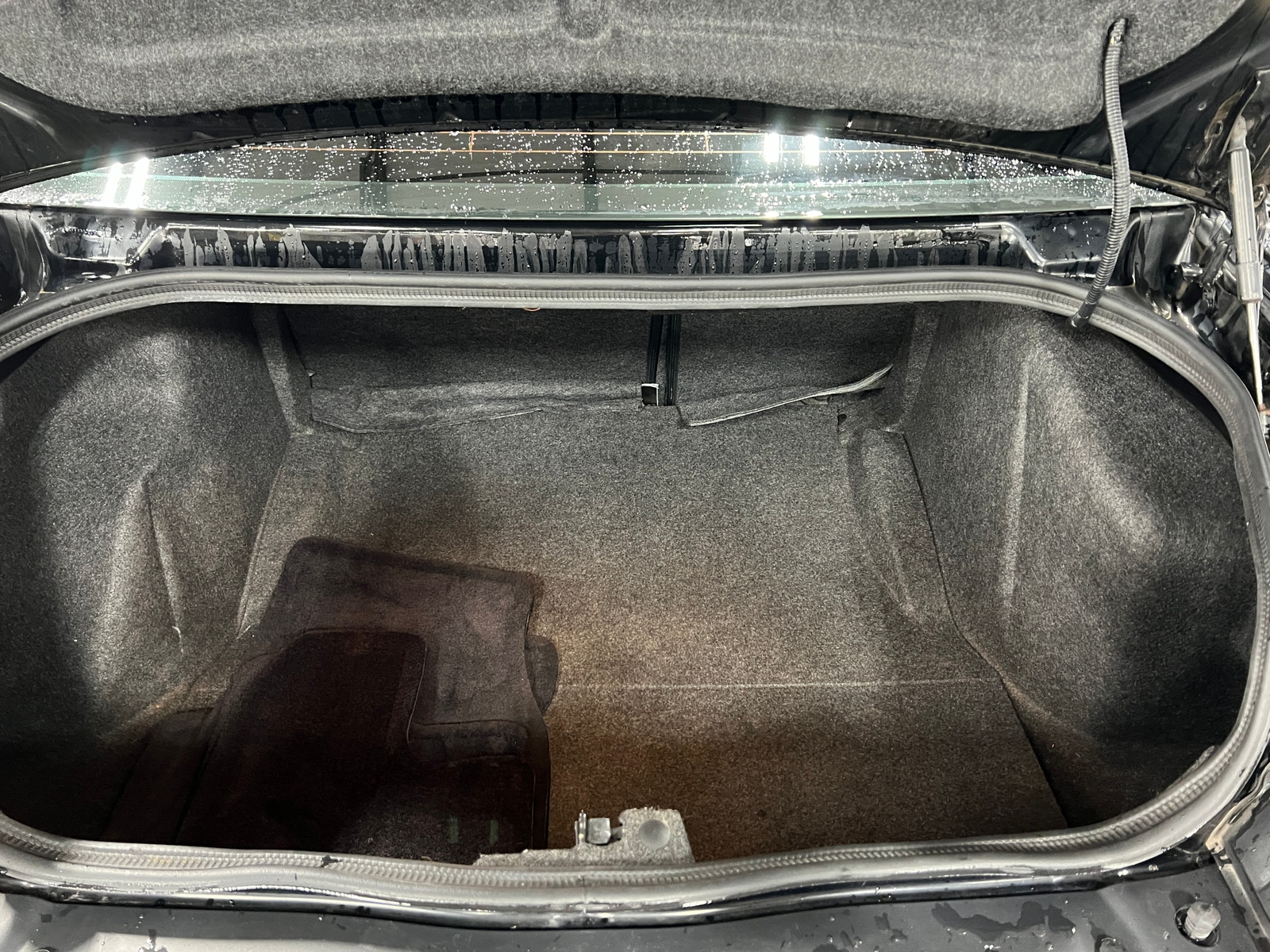 Thumbnail: 2016 Dodge Challenger - 5