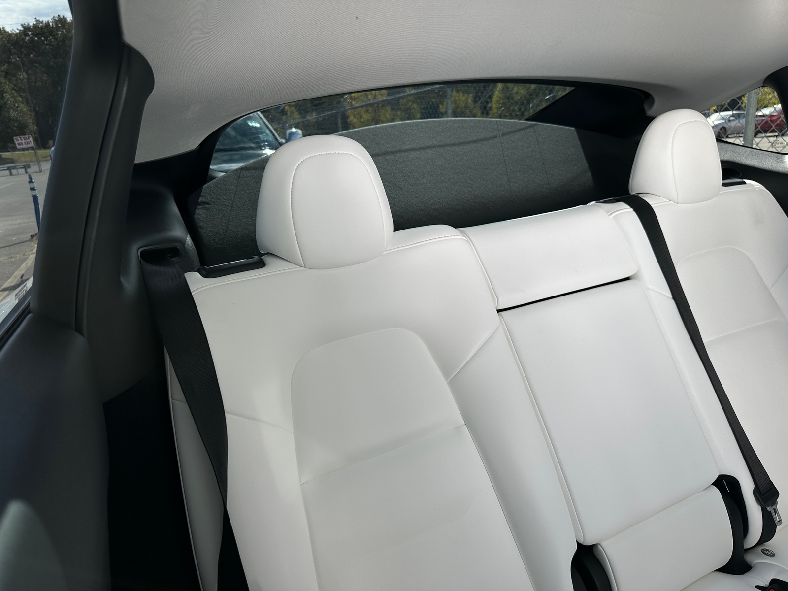 Thumbnail: 2023 Tesla Model Y - 5