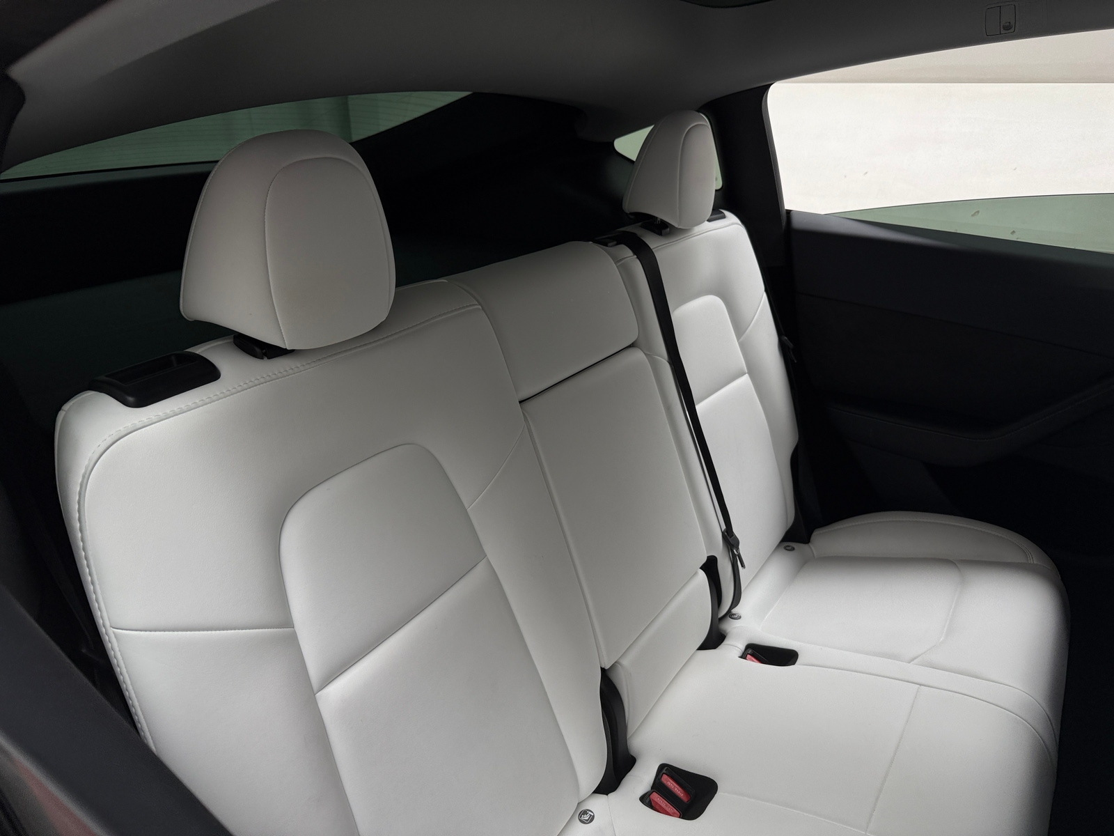 Thumbnail: 2023 Tesla Model Y - 5