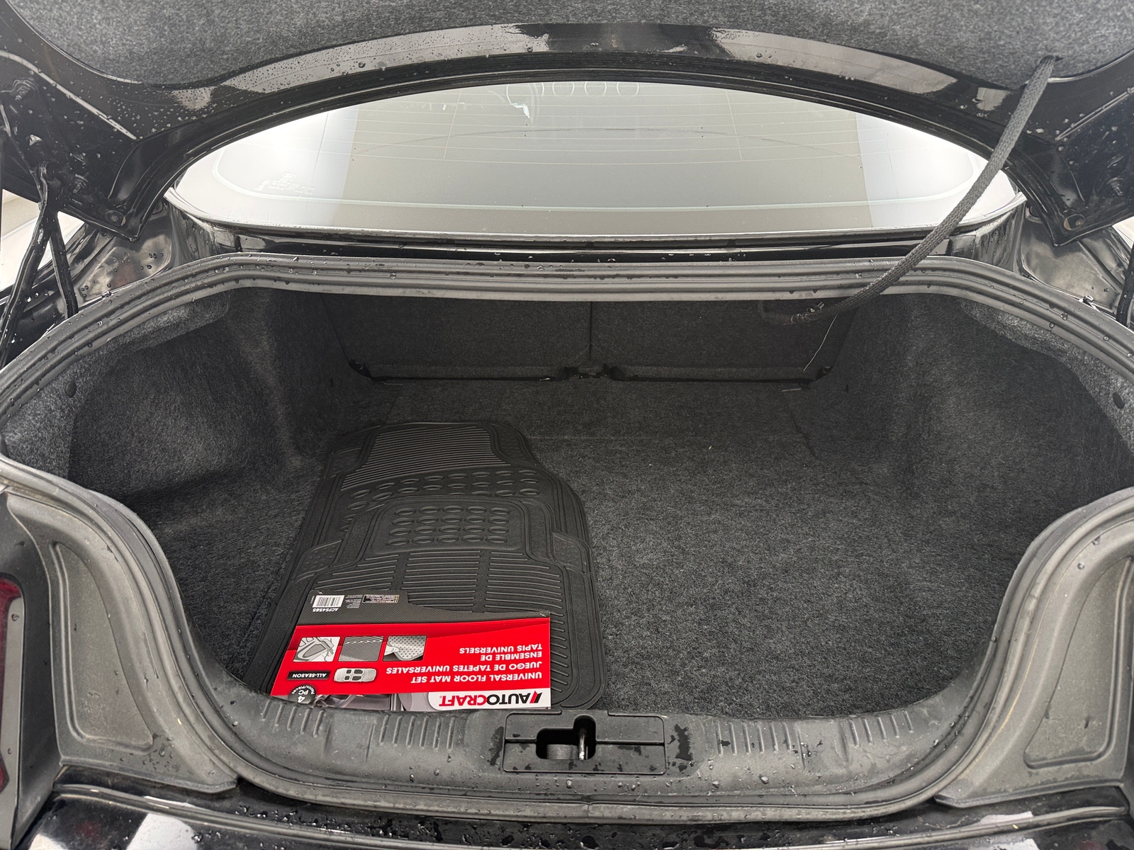 Thumbnail: 2019 Ford Mustang - 5