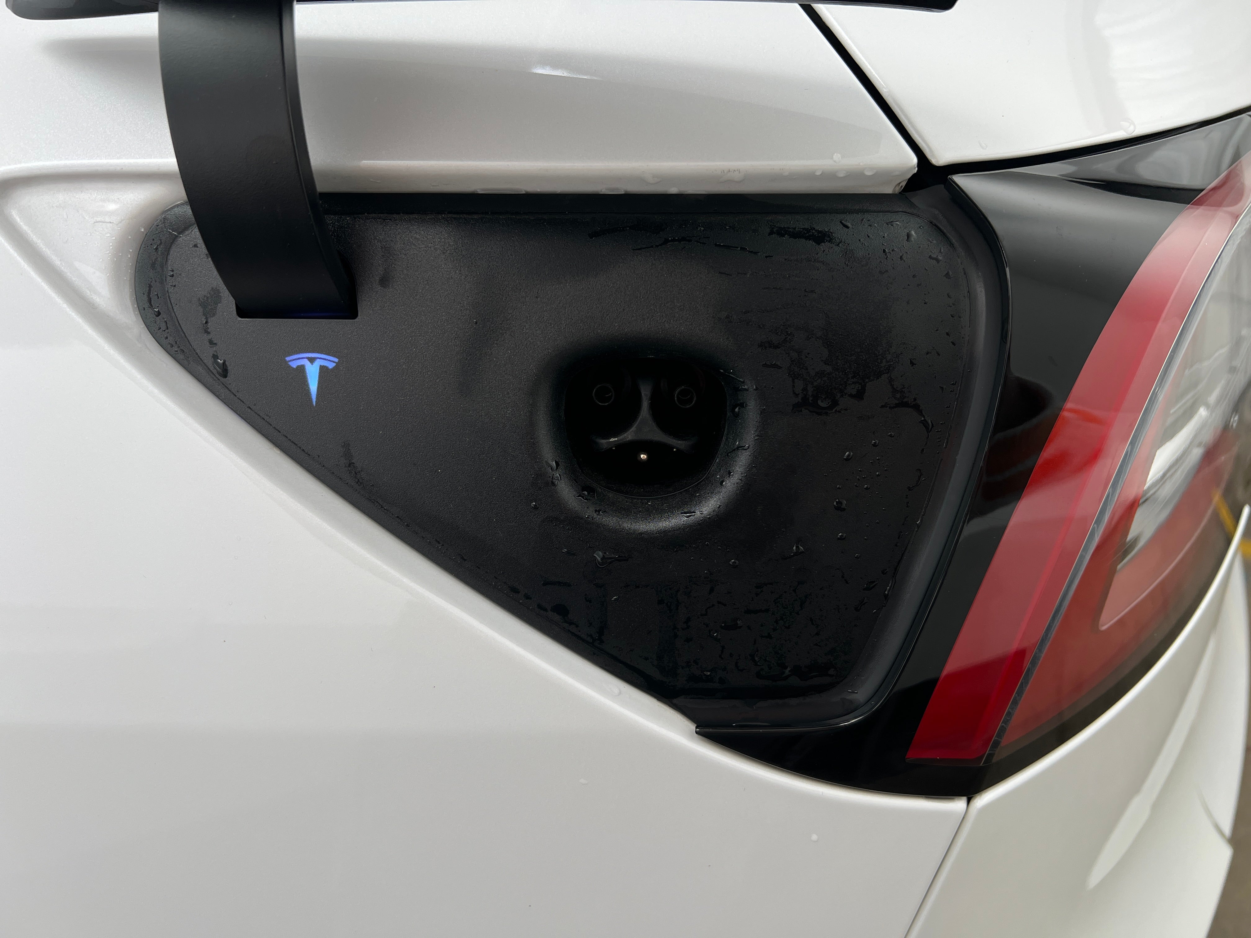 Used 2022 Tesla Model Y Performance with VIN 7SAYGDEF3NF329483 for sale in Auburn, WA