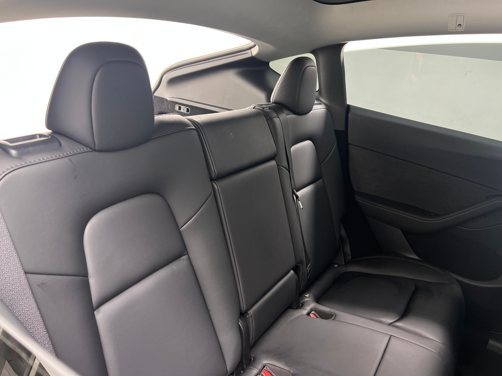 Thumbnail: 2023 Tesla Model Y - 5