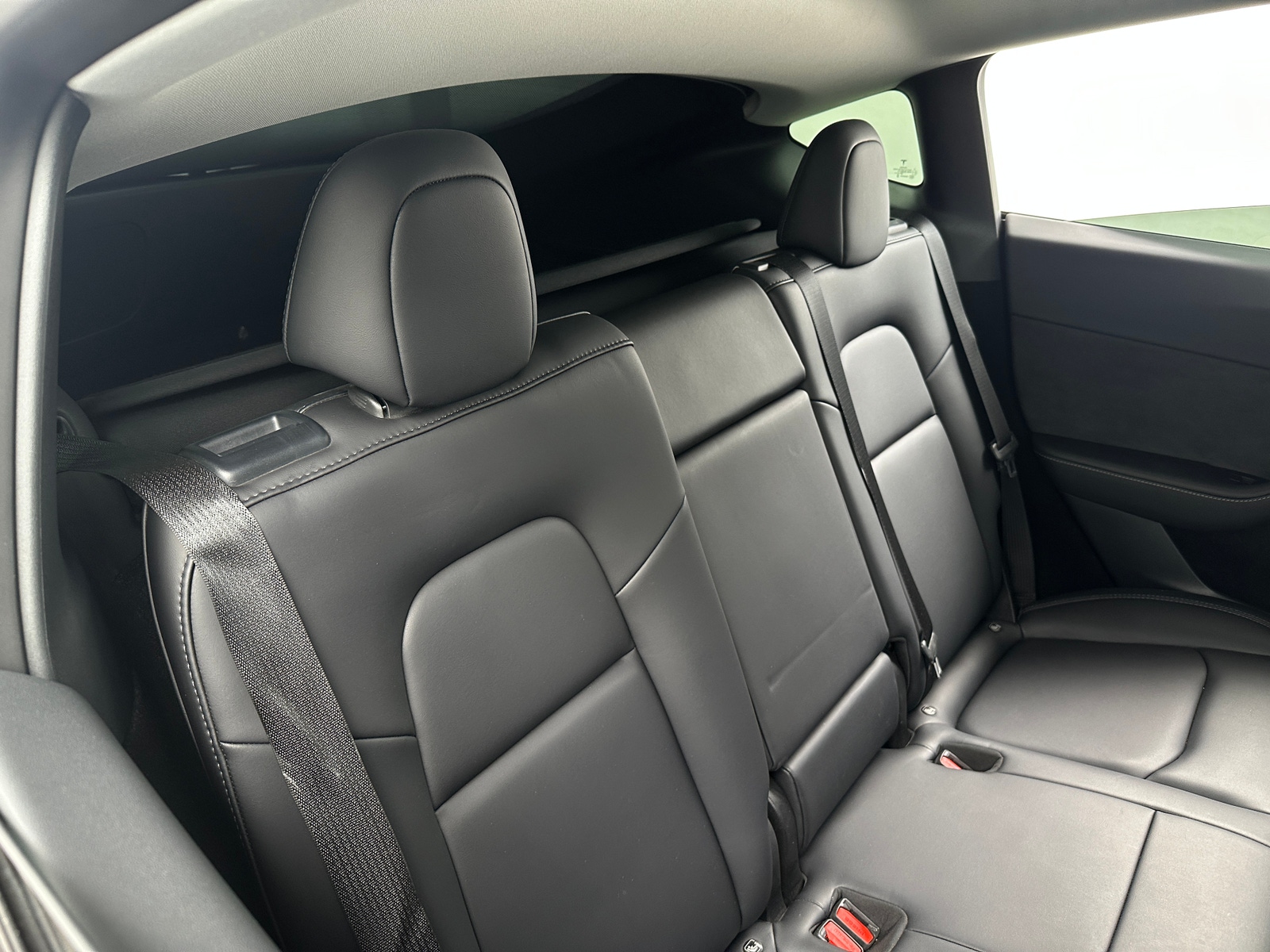 Thumbnail: 2023 Tesla Model Y - 5