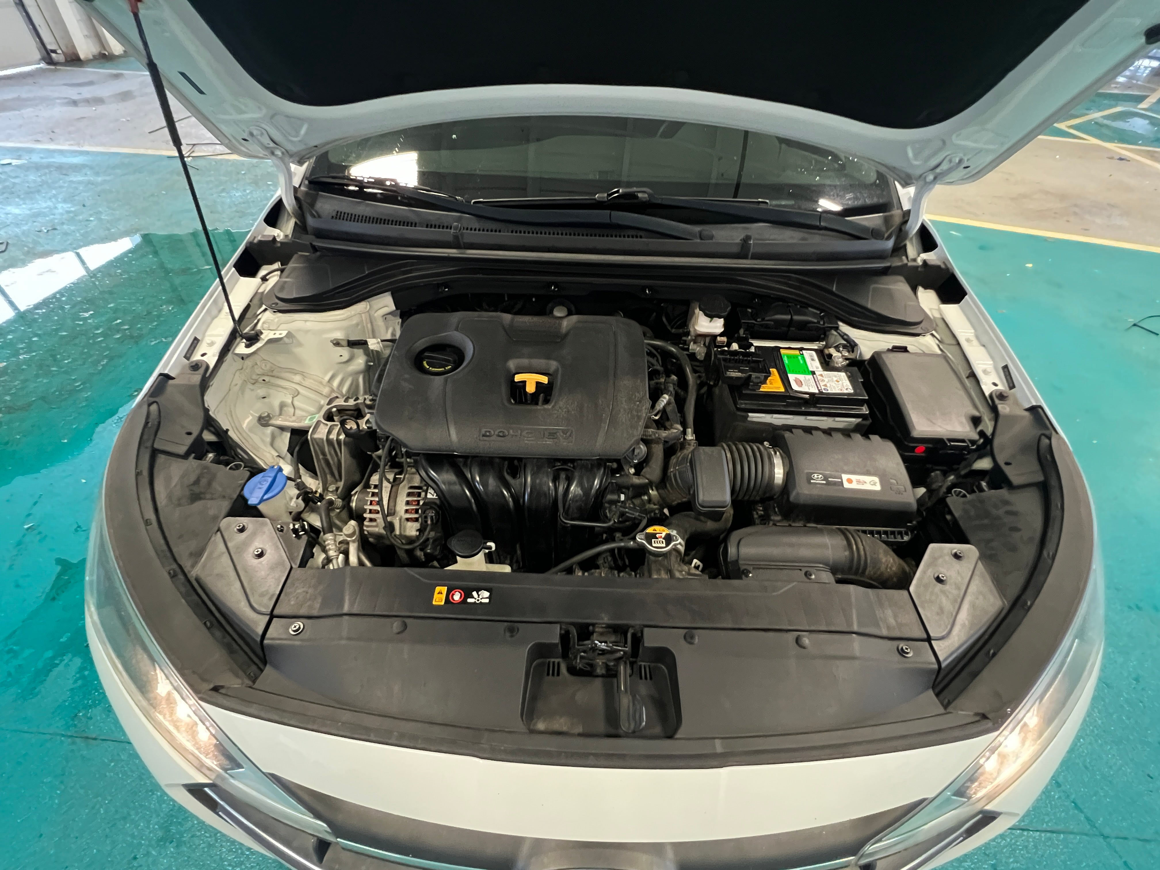 2019 Hyundai Elantra