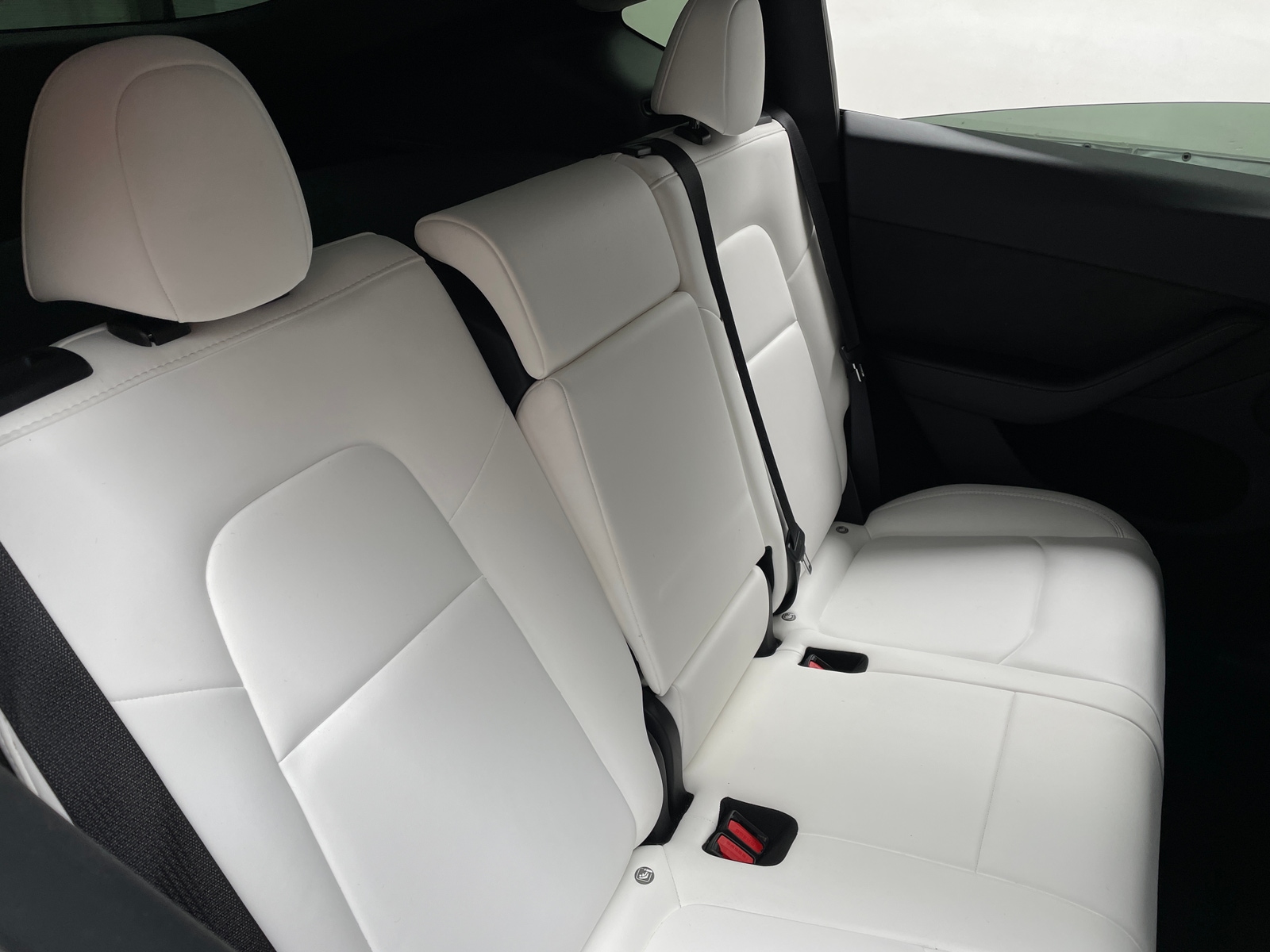 Thumbnail: 2023 Tesla Model Y - 4