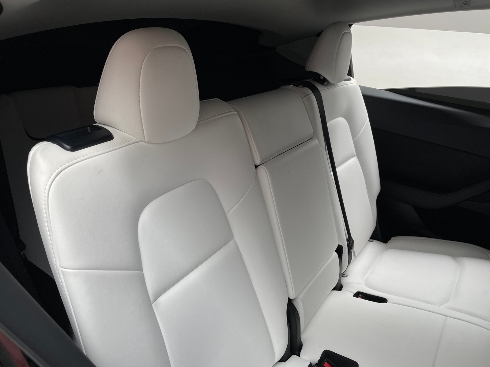 Thumbnail: 2023 Tesla Model Y - 5