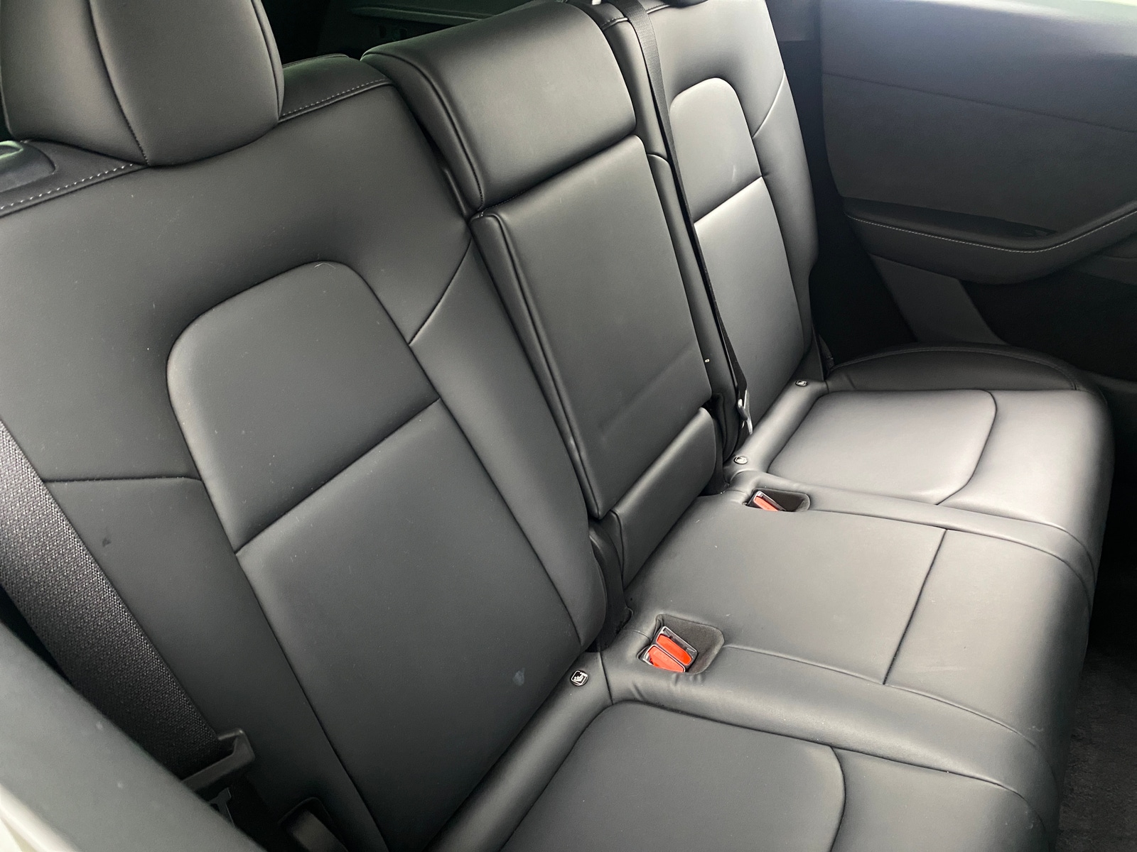 Thumbnail: 2023 Tesla Model Y - 5