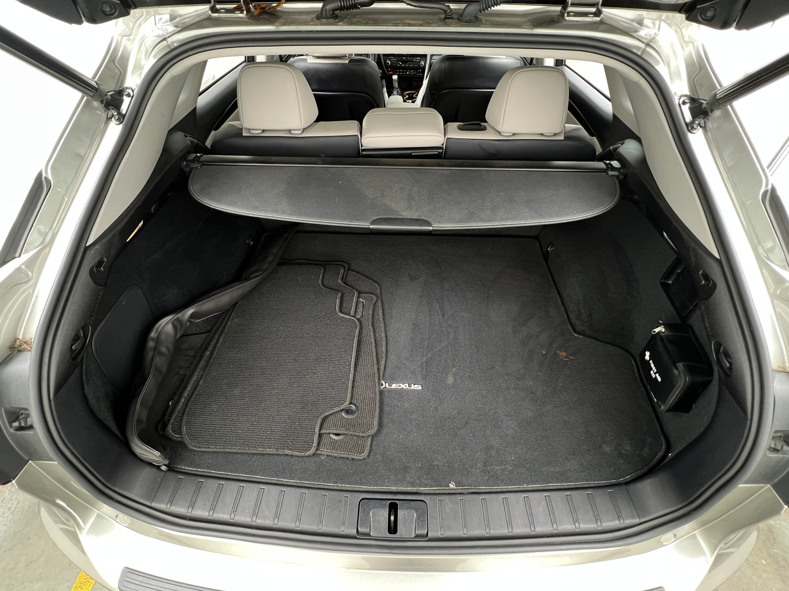 Thumbnail: 2019 Lexus RX - 6