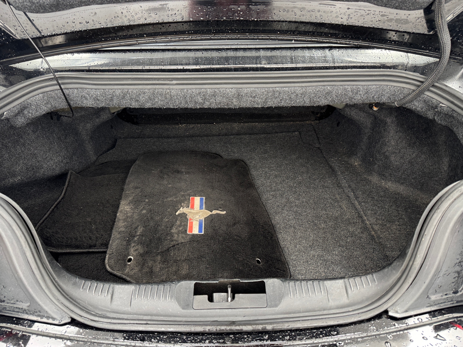 Thumbnail: 2017 Ford Mustang - 7