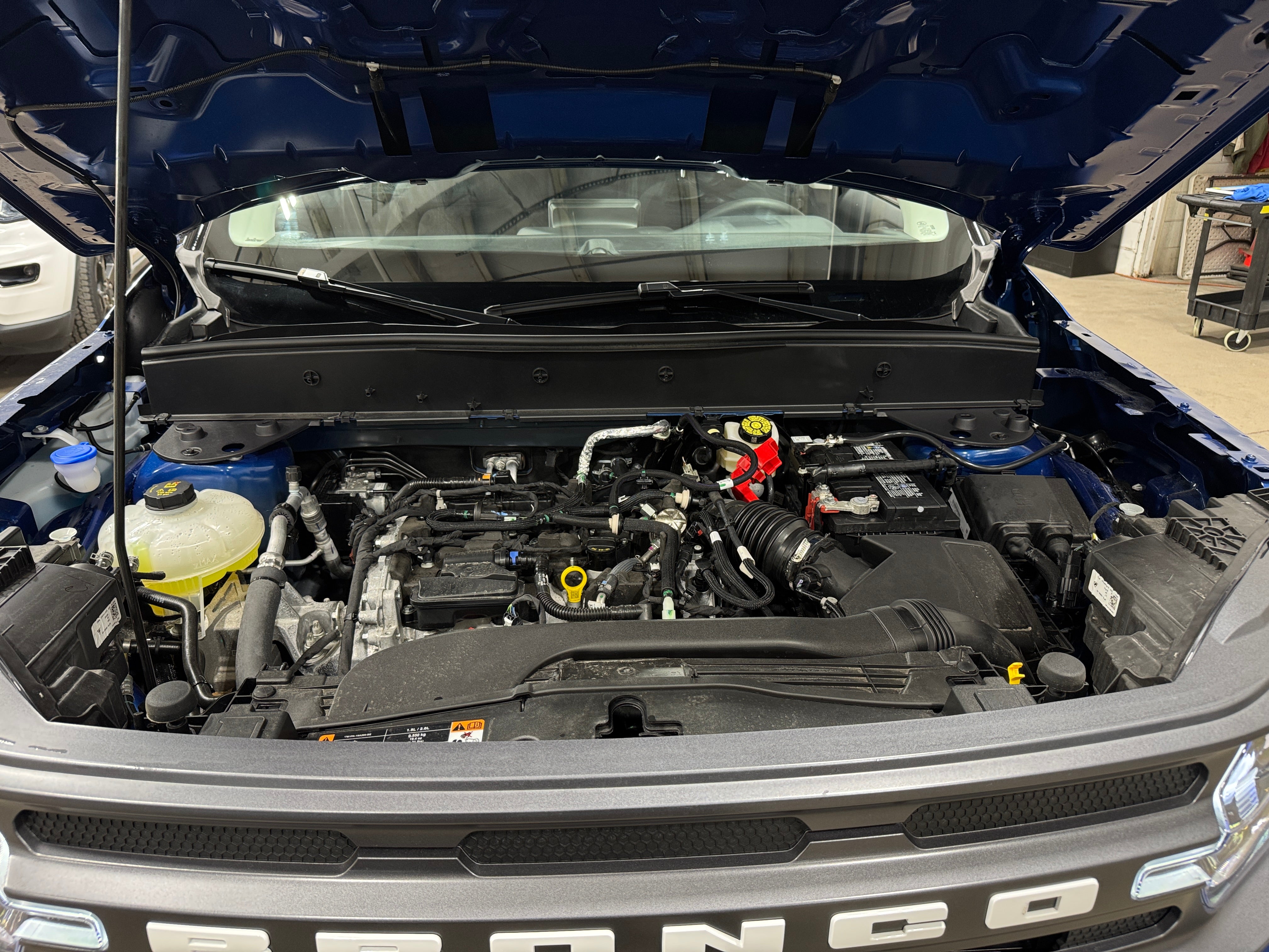 2024 Ford Bronco Sport