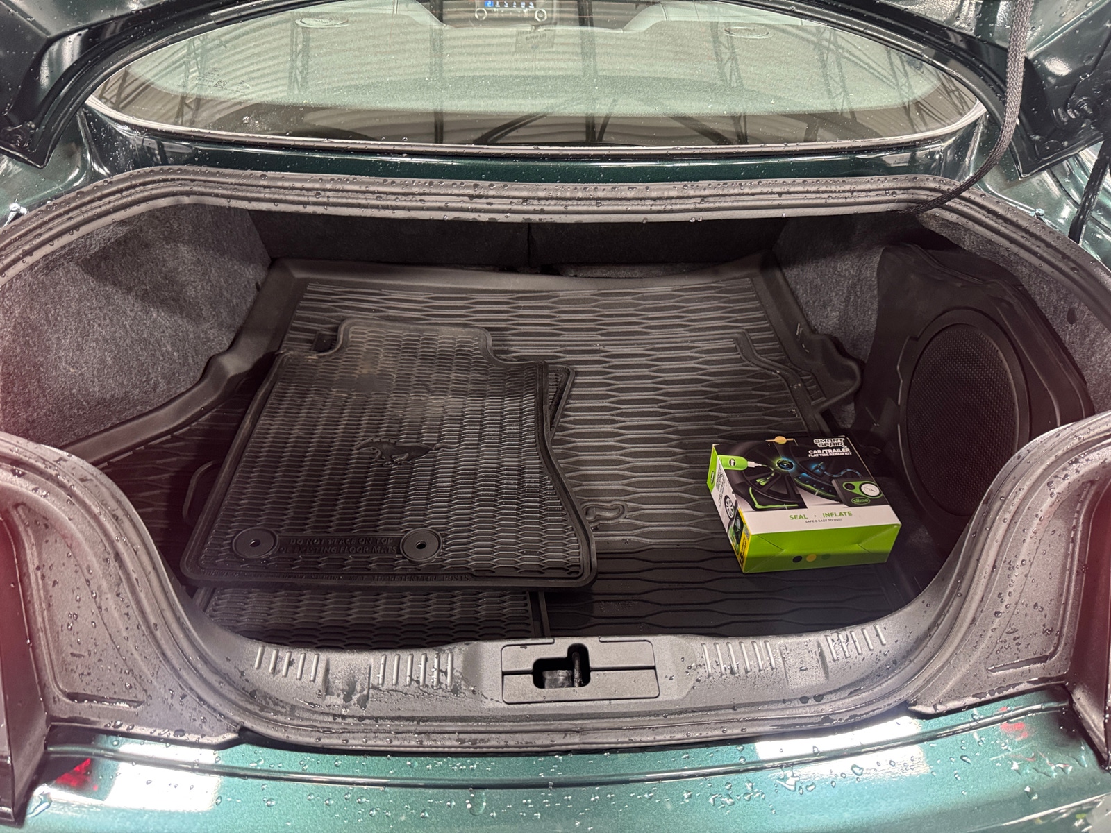 Thumbnail: 2019 Ford Mustang - 4