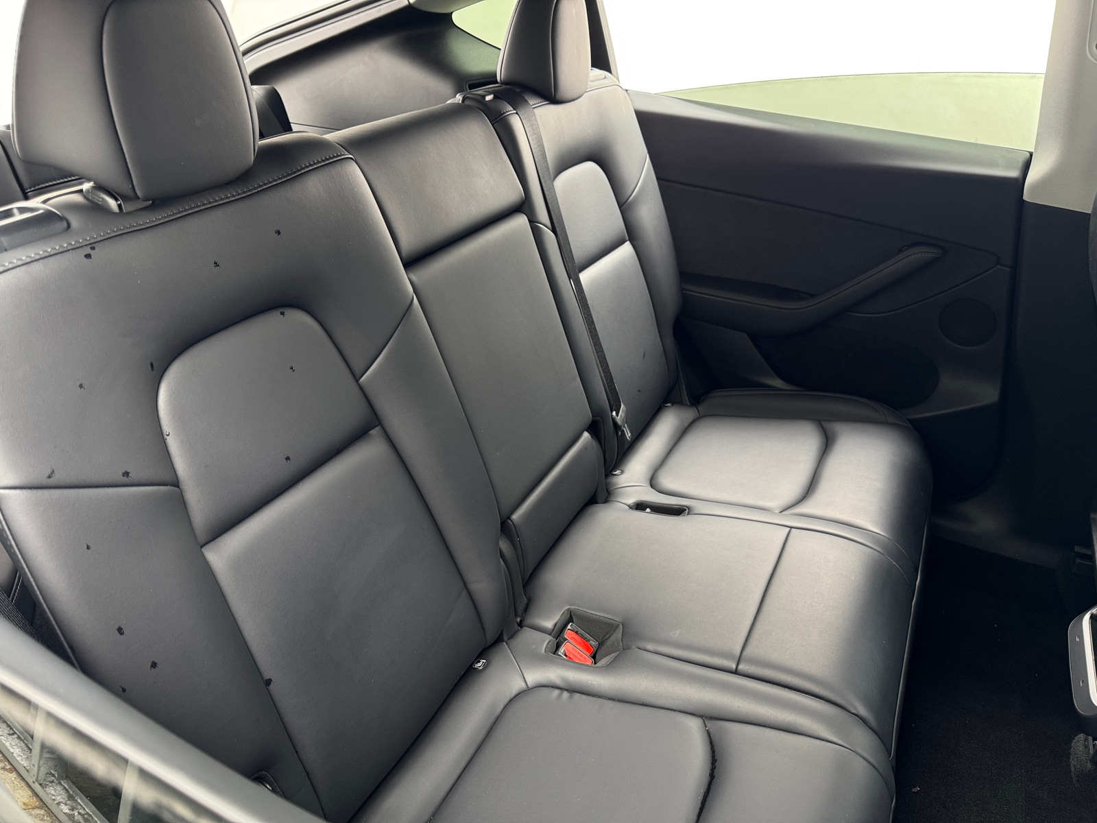 Thumbnail: 2023 Tesla Model Y - 5