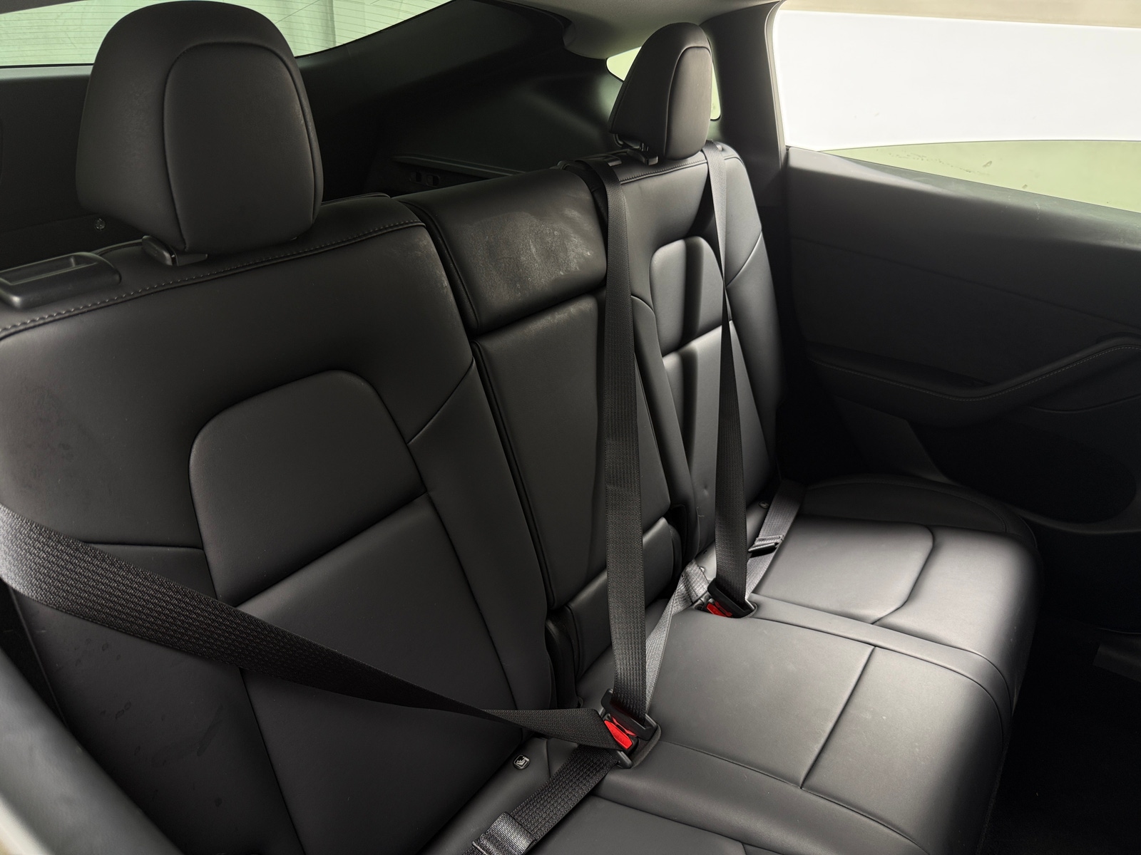 Thumbnail: 2023 Tesla Model Y - 5