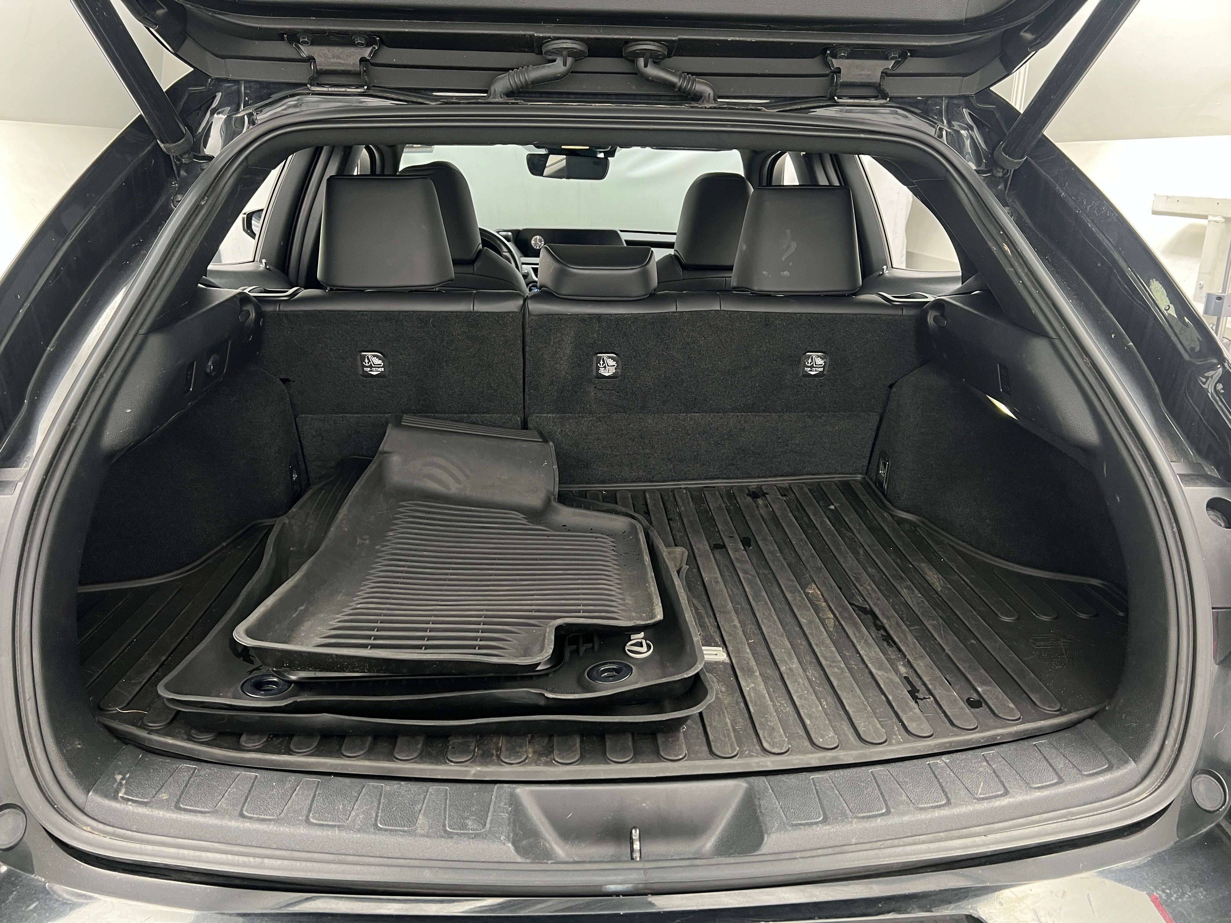 2020 Lexus UX Hybrid