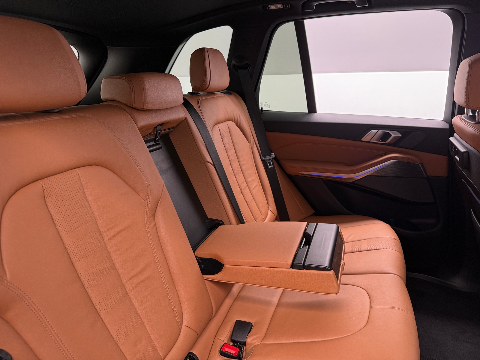 Thumbnail: 2019 BMW X5 - 5