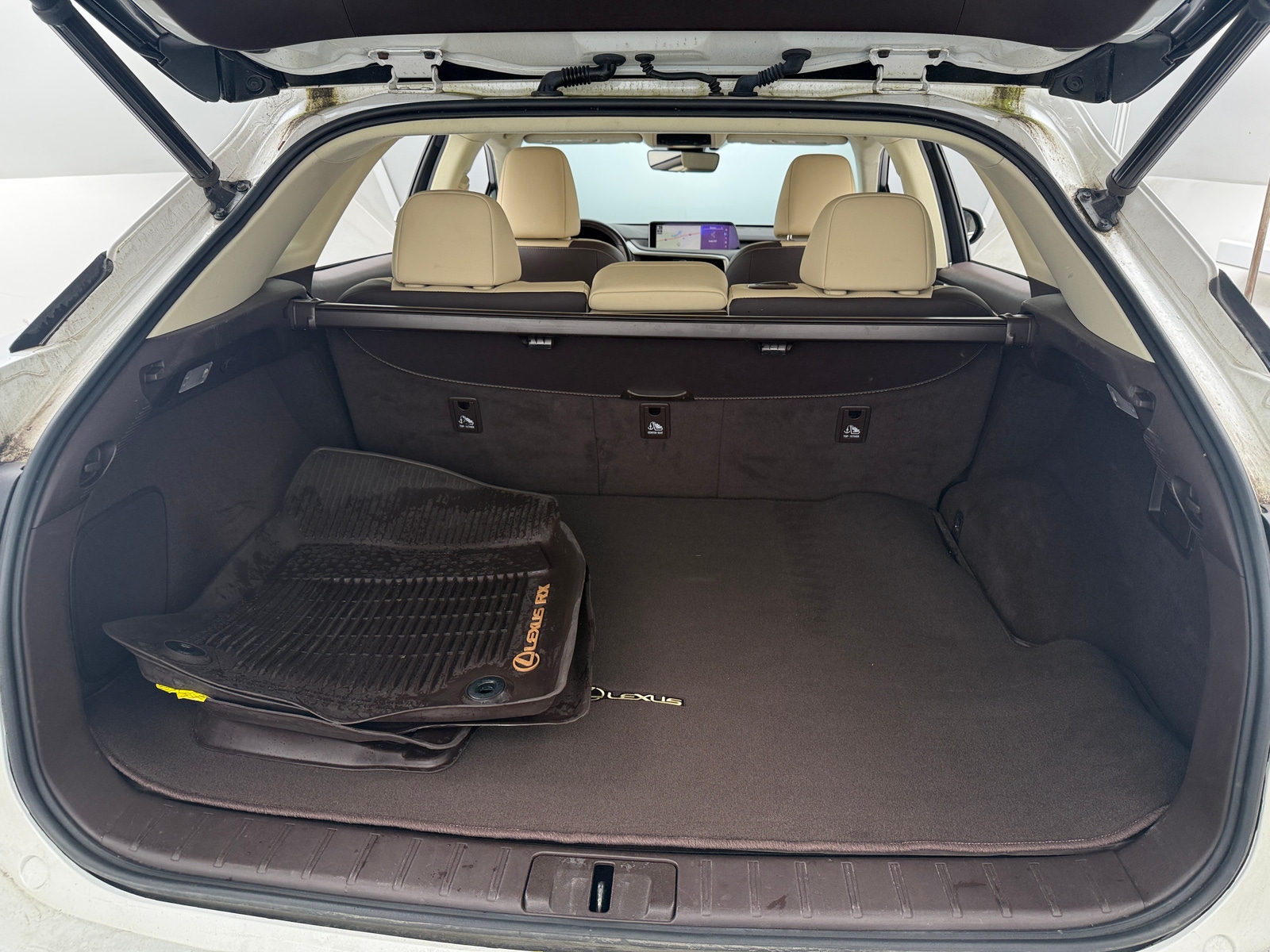 Thumbnail: 2019 Lexus RX - 6