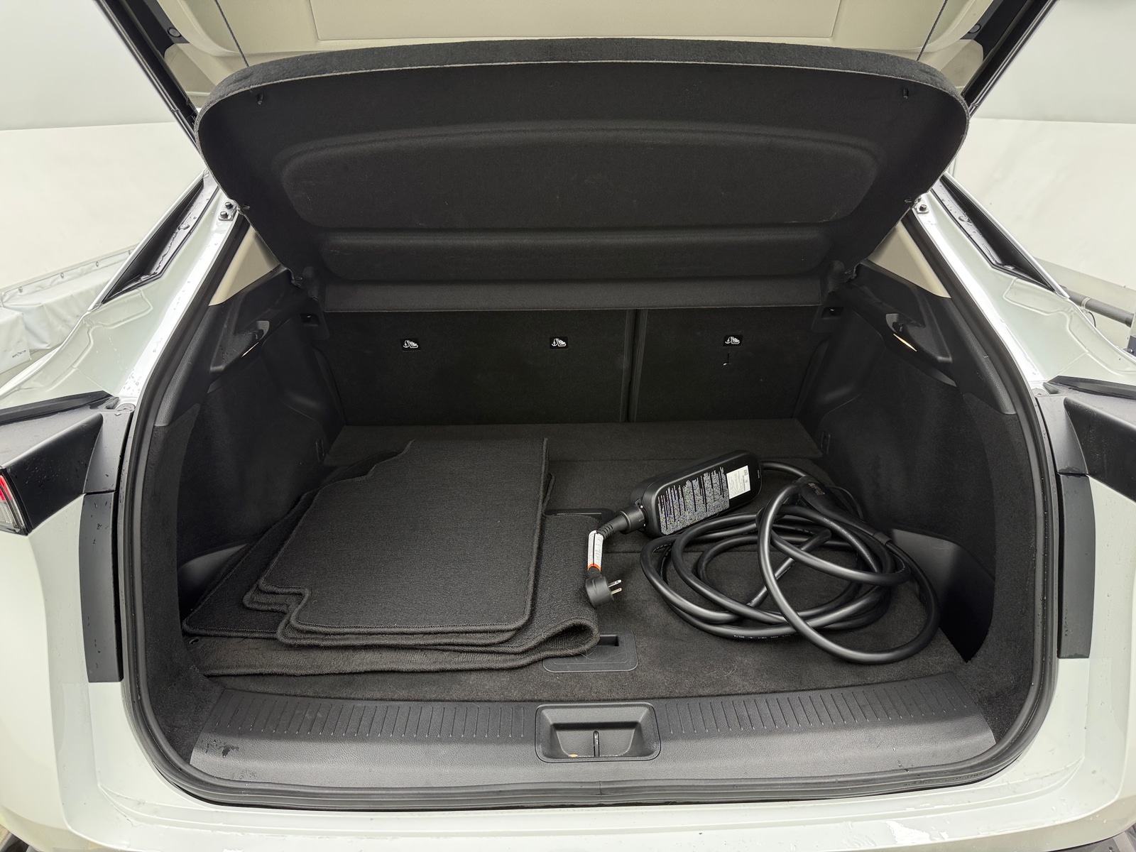 Thumbnail: 2024 Nissan Ariya - 6