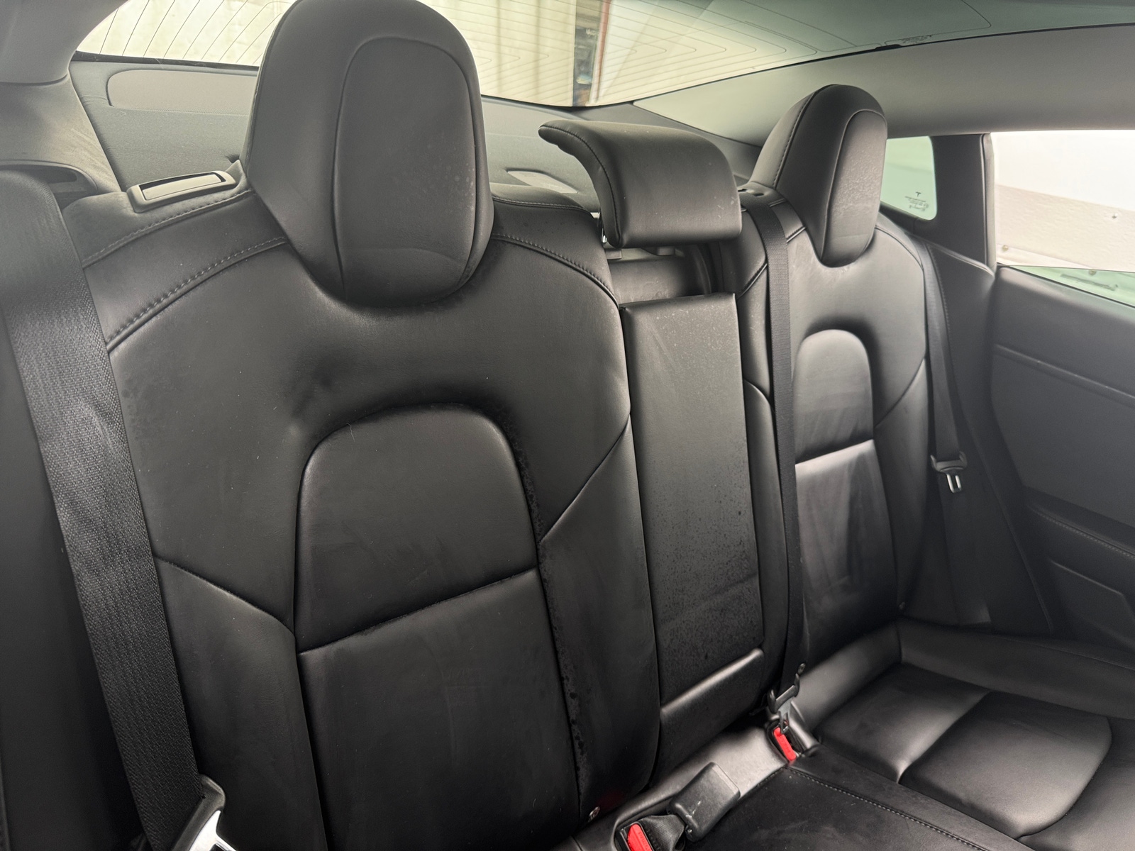 Thumbnail: 2019 Tesla Model 3 - 5