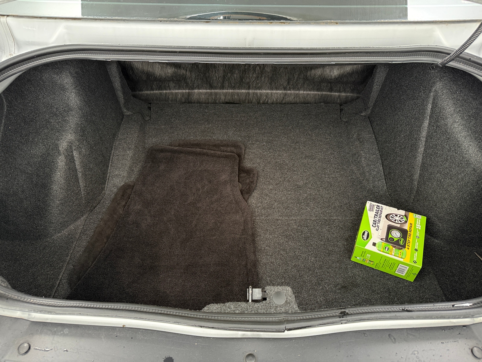 Thumbnail: 2019 Dodge Challenger - 5