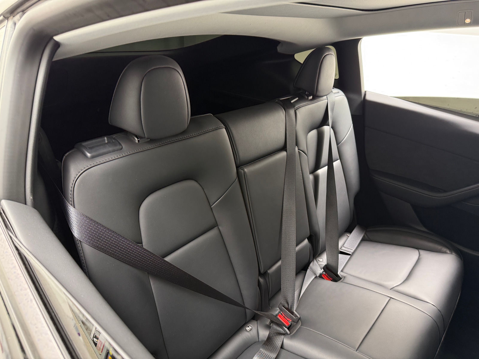 Thumbnail: 2023 Tesla Model Y - 5