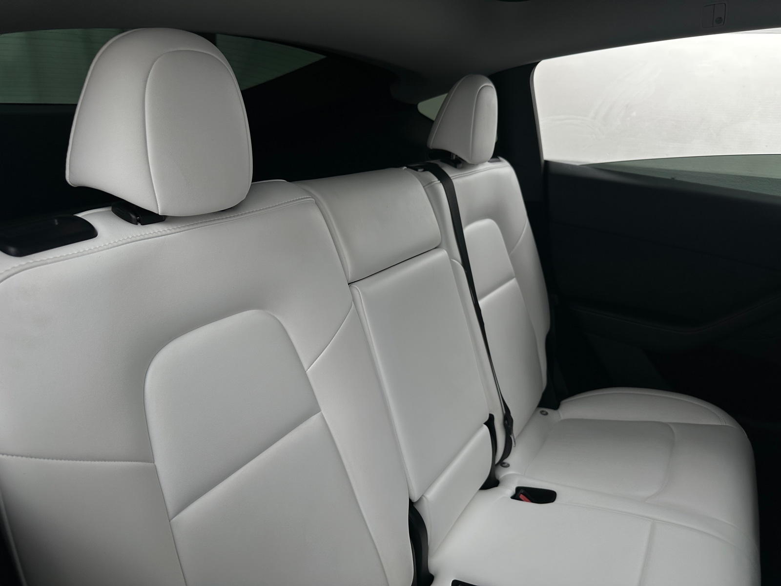 Thumbnail: 2023 Tesla Model Y - 5