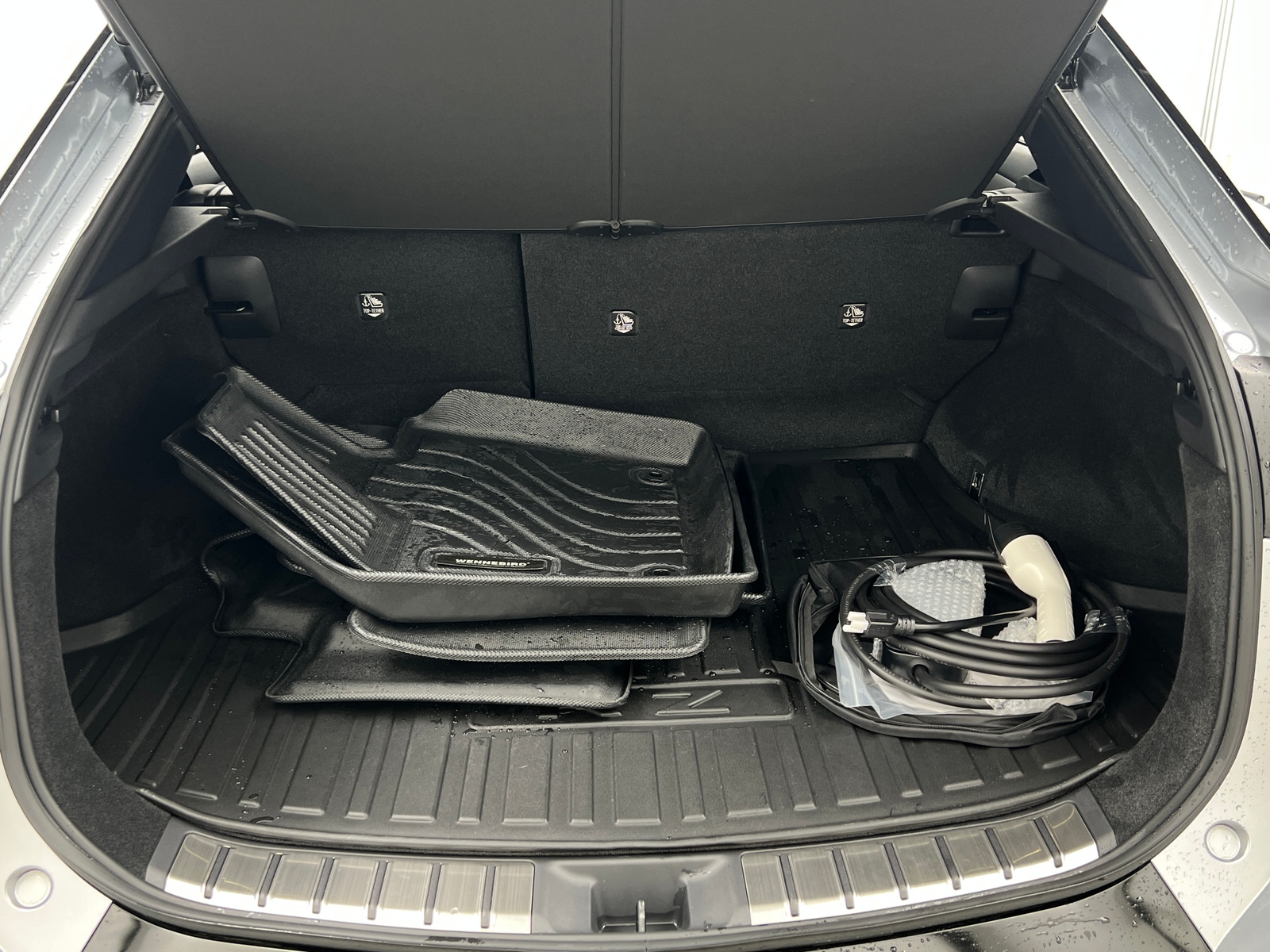 Thumbnail: 2024 Lexus RZ - 6