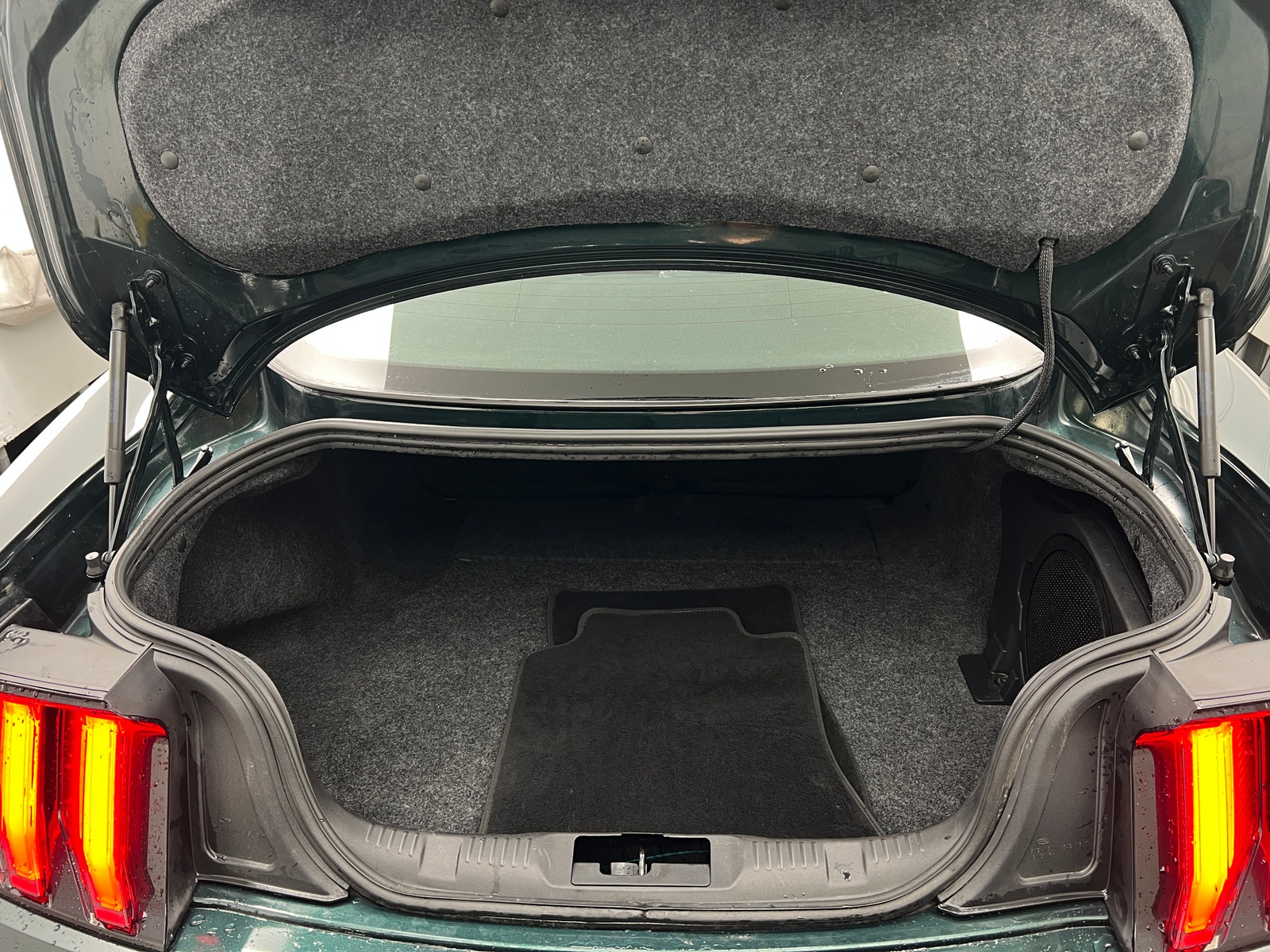 Thumbnail: 2019 Ford Mustang - 4