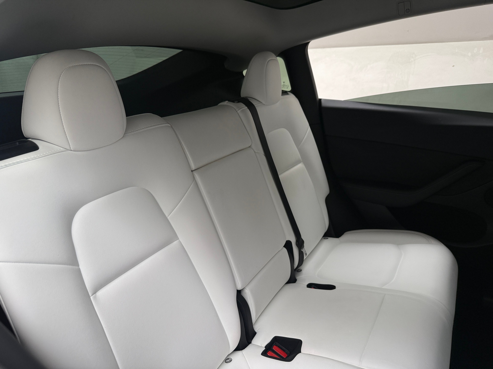 Thumbnail: 2023 Tesla Model Y - 5