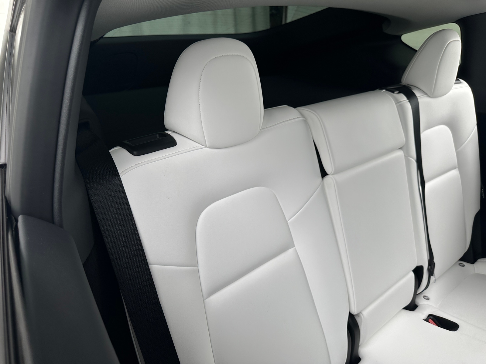 Thumbnail: 2023 Tesla Model Y - 5