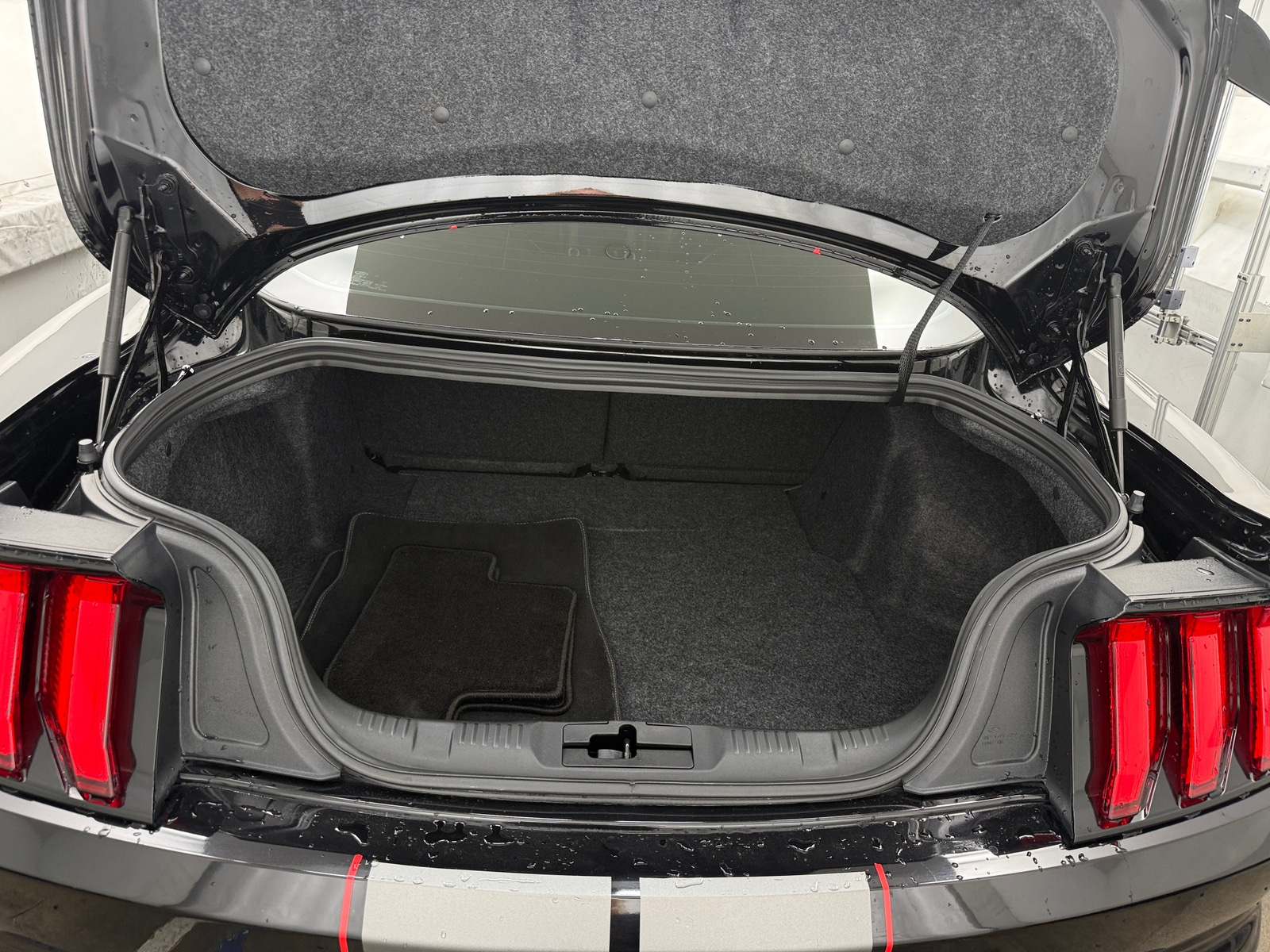 Thumbnail: 2019 Ford Mustang - 4