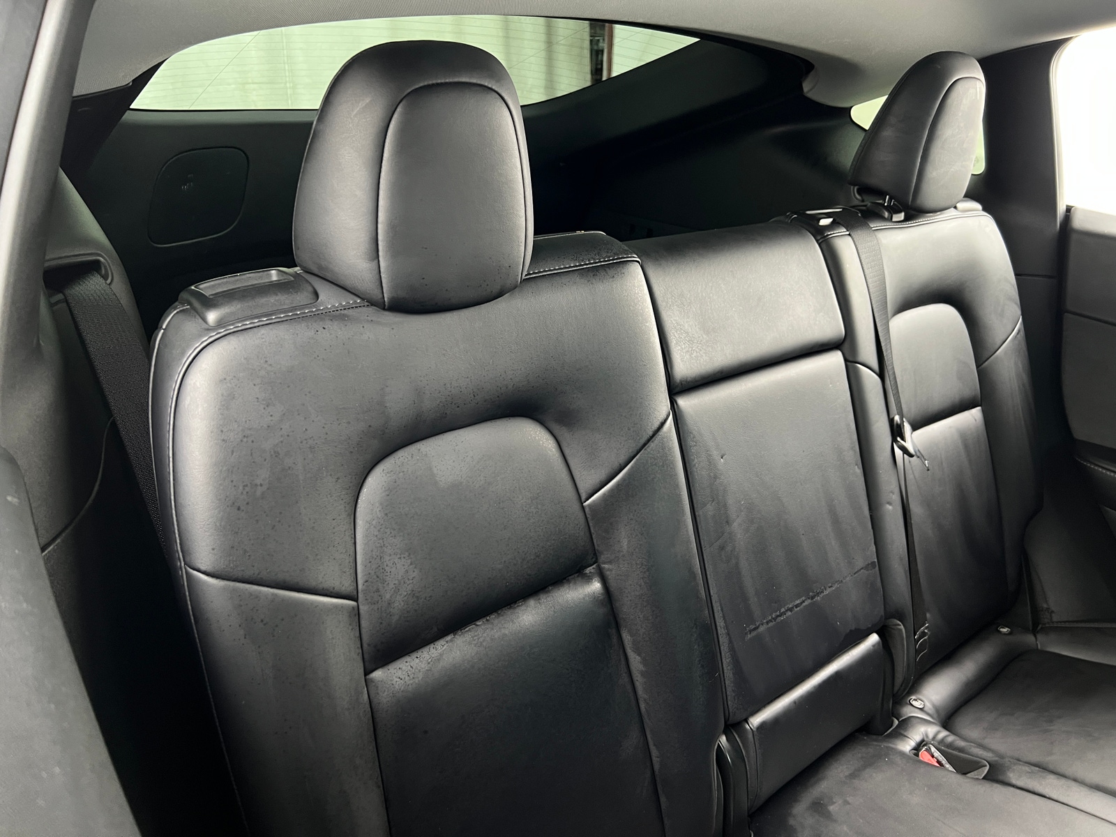 Thumbnail: 2021 Tesla Model Y - 5