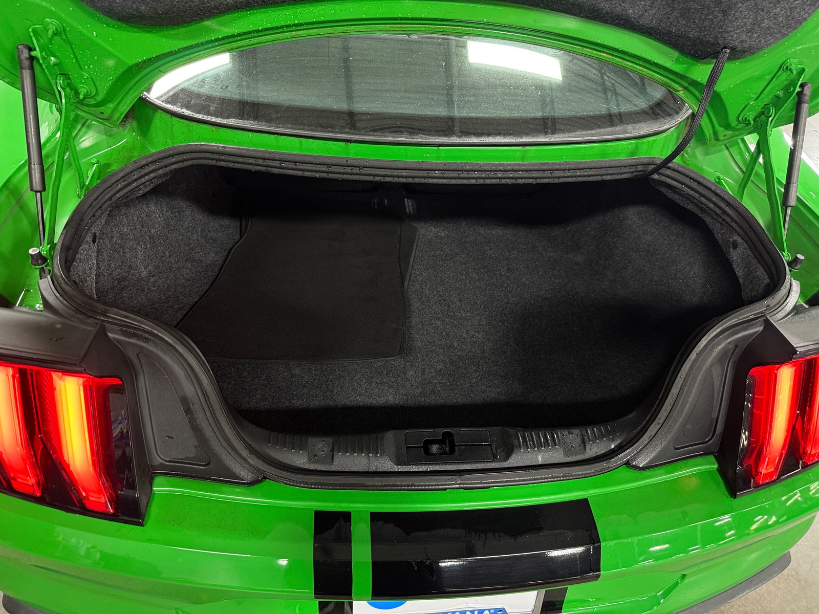 Thumbnail: 2019 Ford Mustang - 5