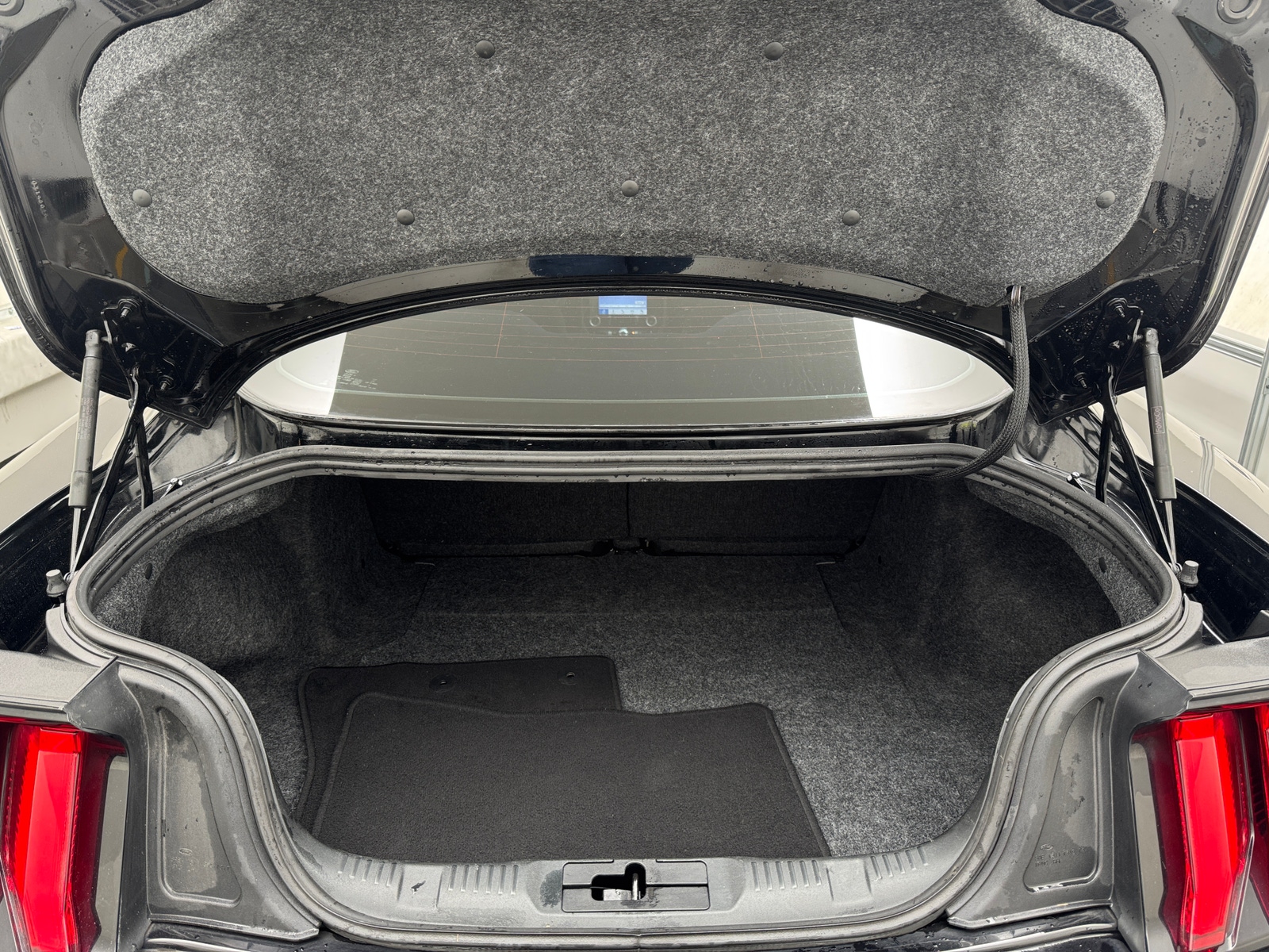 Thumbnail: 2019 Ford Mustang - 6