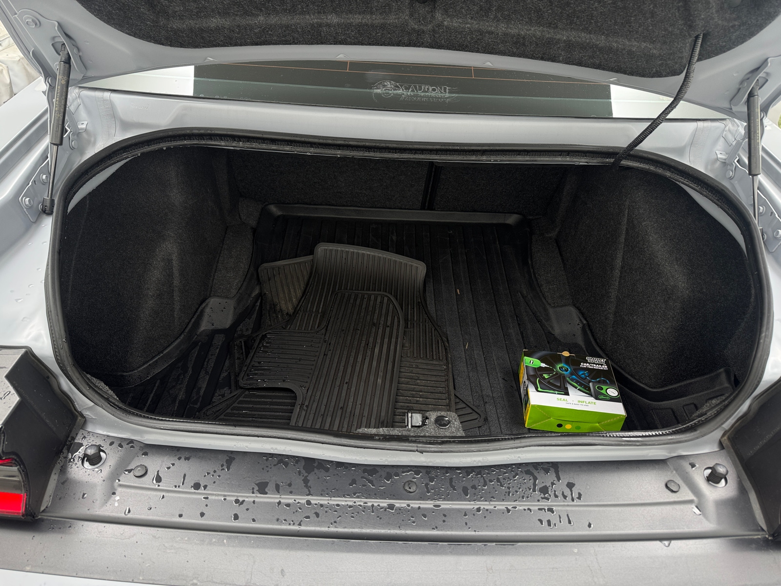 Thumbnail: 2021 Dodge Challenger - 6