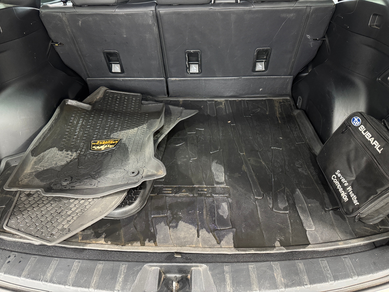 Thumbnail: 2022 Subaru Forester - 6