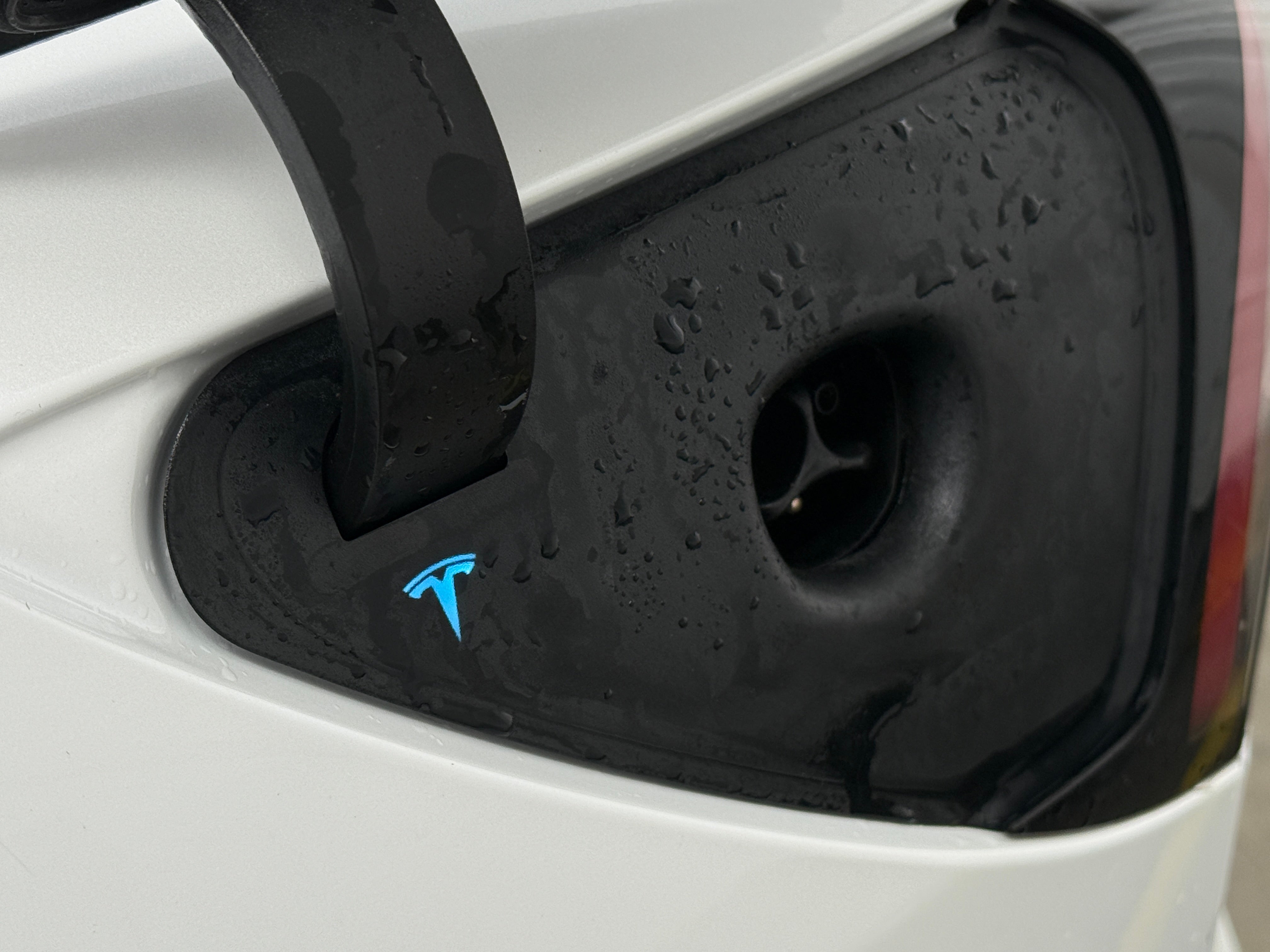 Used 2020 Tesla Model 3 Base with VIN 5YJ3E1EAXLF800719 for sale in Auburn, WA